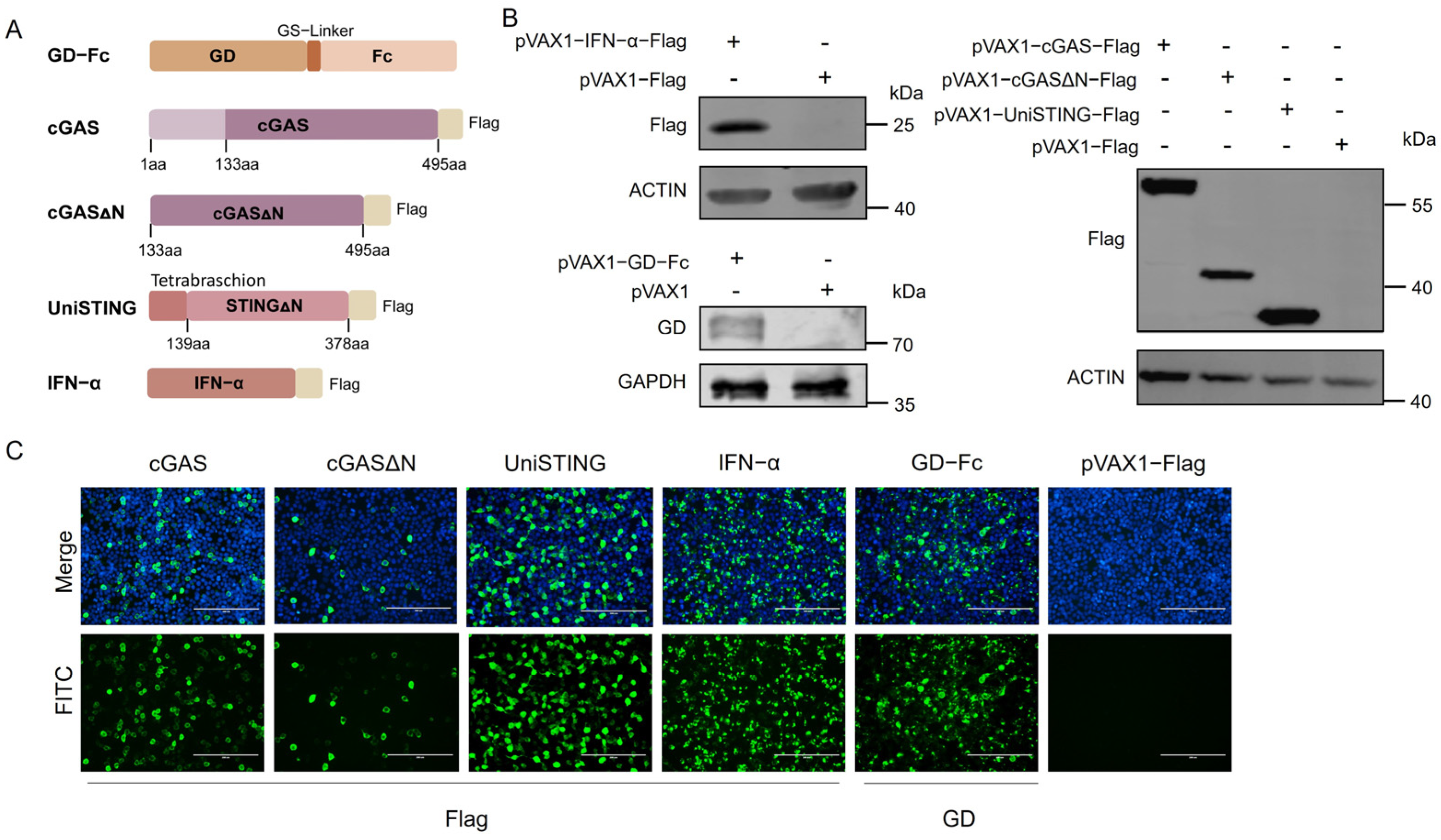 Pathogens 14 01026 g001