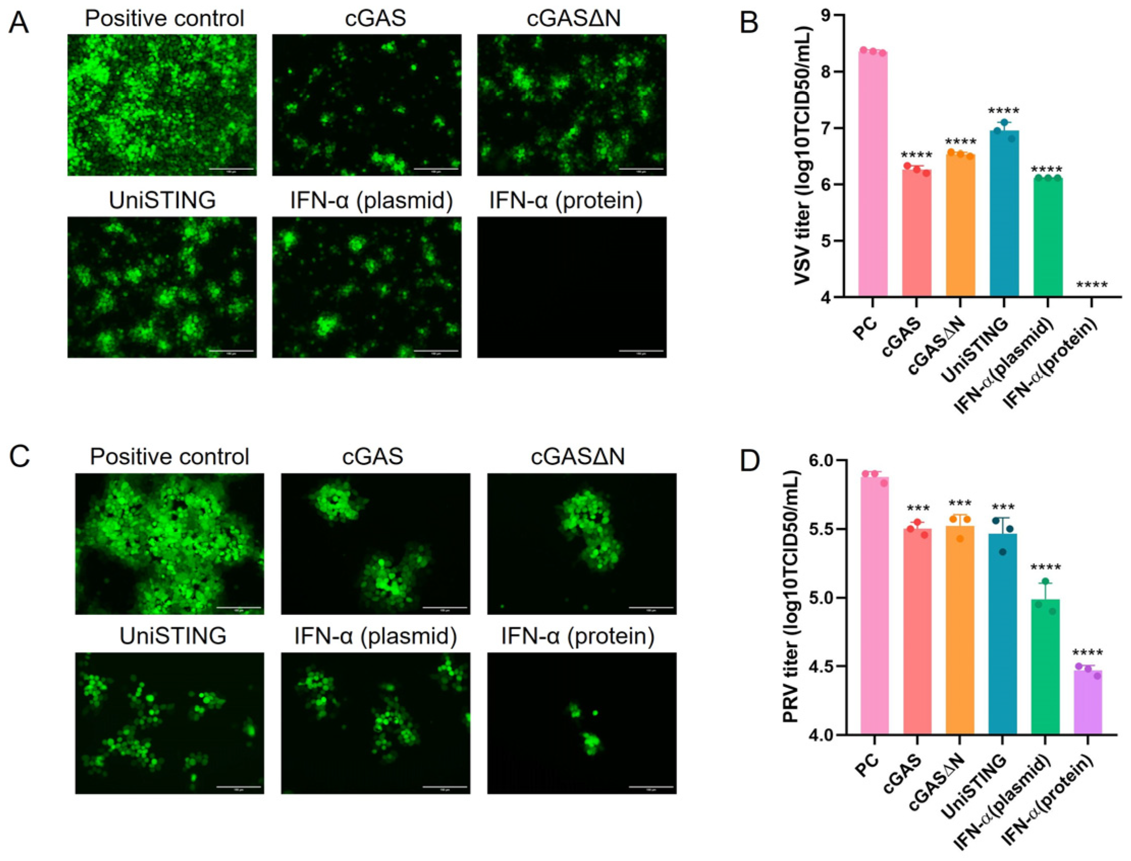Pathogens 14 01026 g002