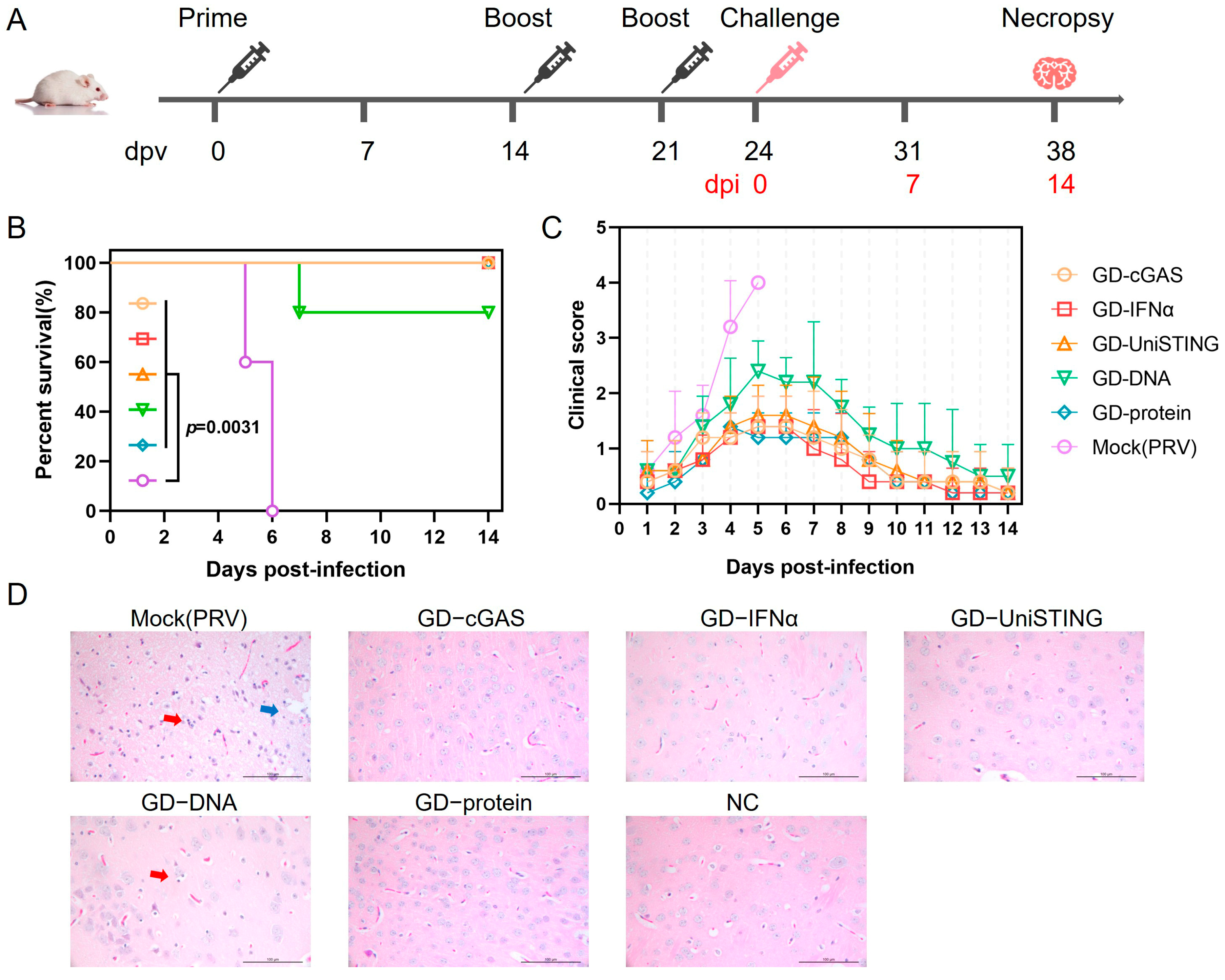 Pathogens 14 01026 g005