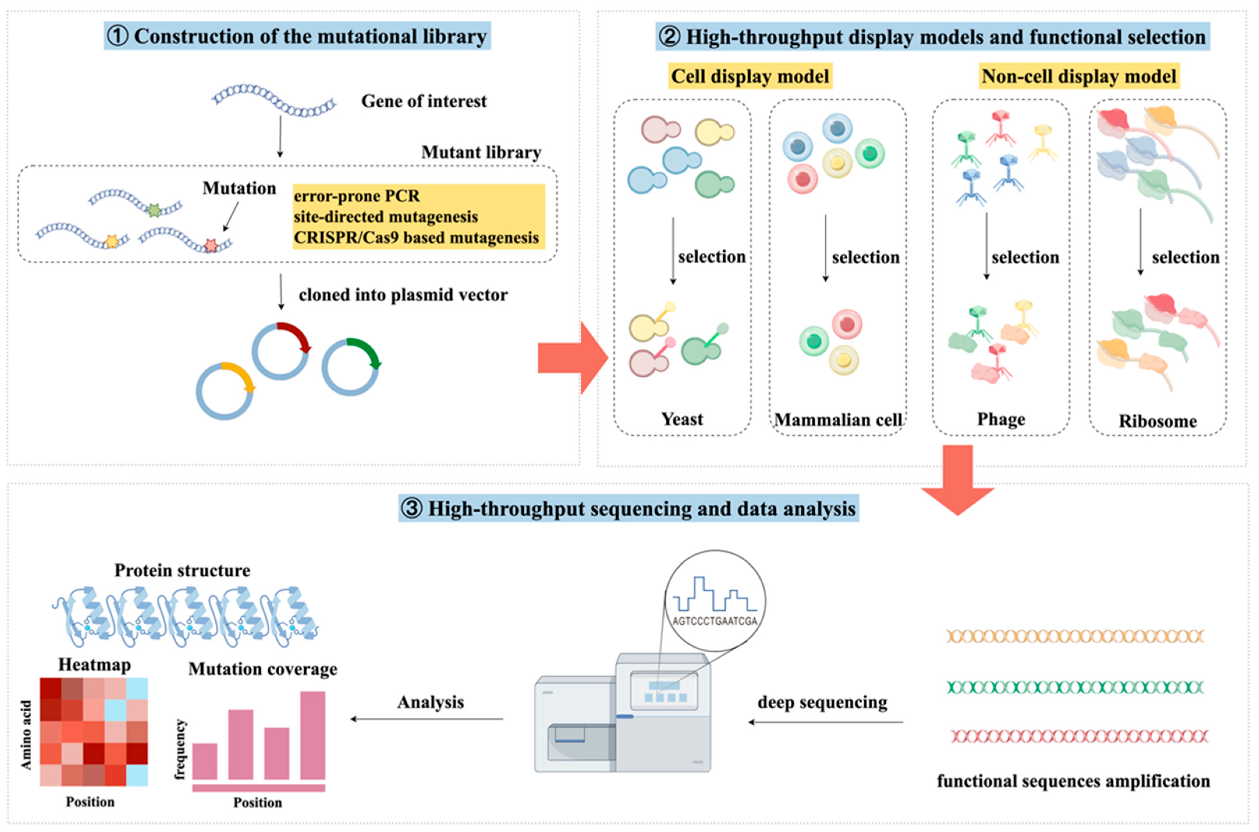 Pathogens 14 01027 g001 Pathogens 14 01027 g001