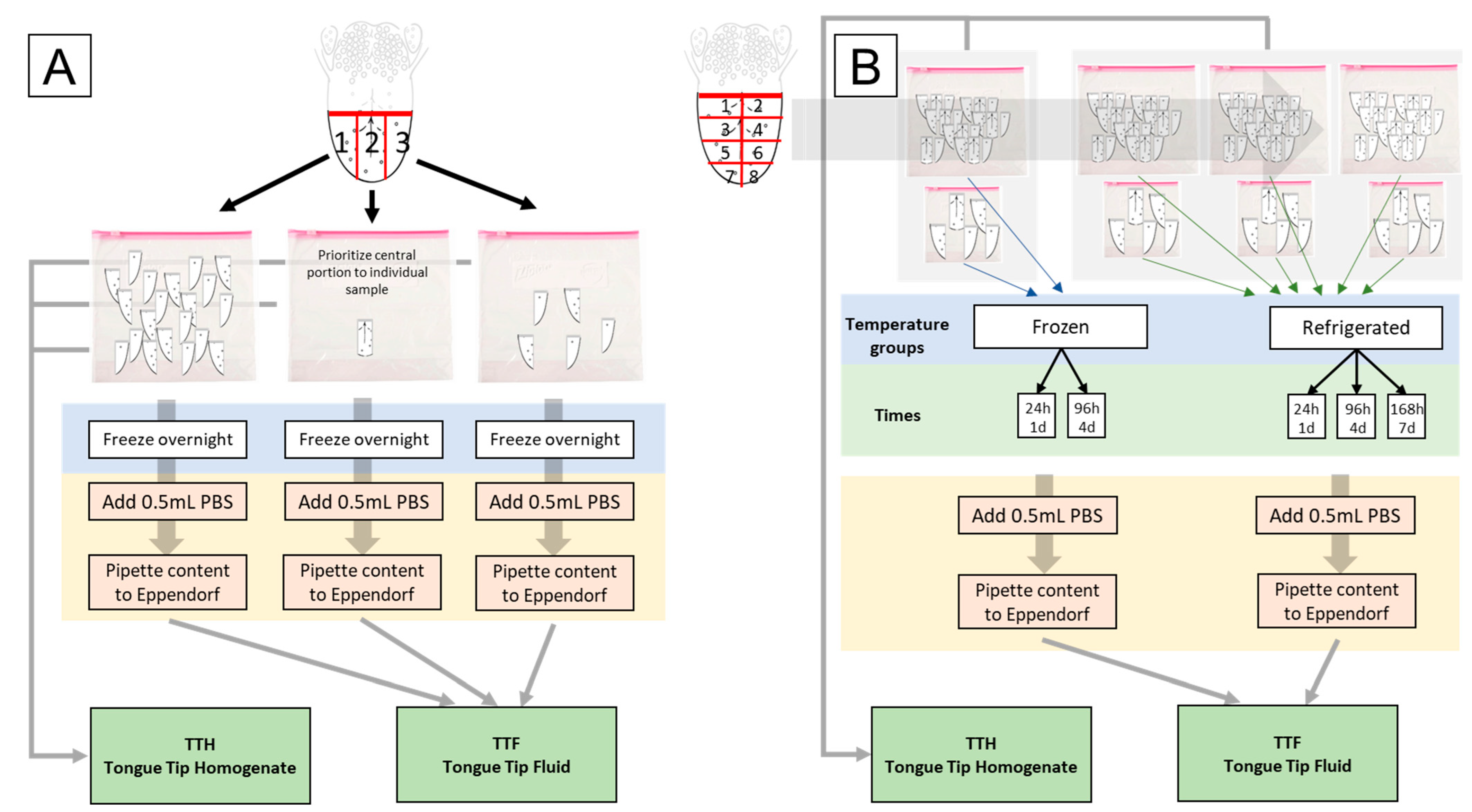Pathogens 14 01028 g001 Pathogens 14 01028 g001