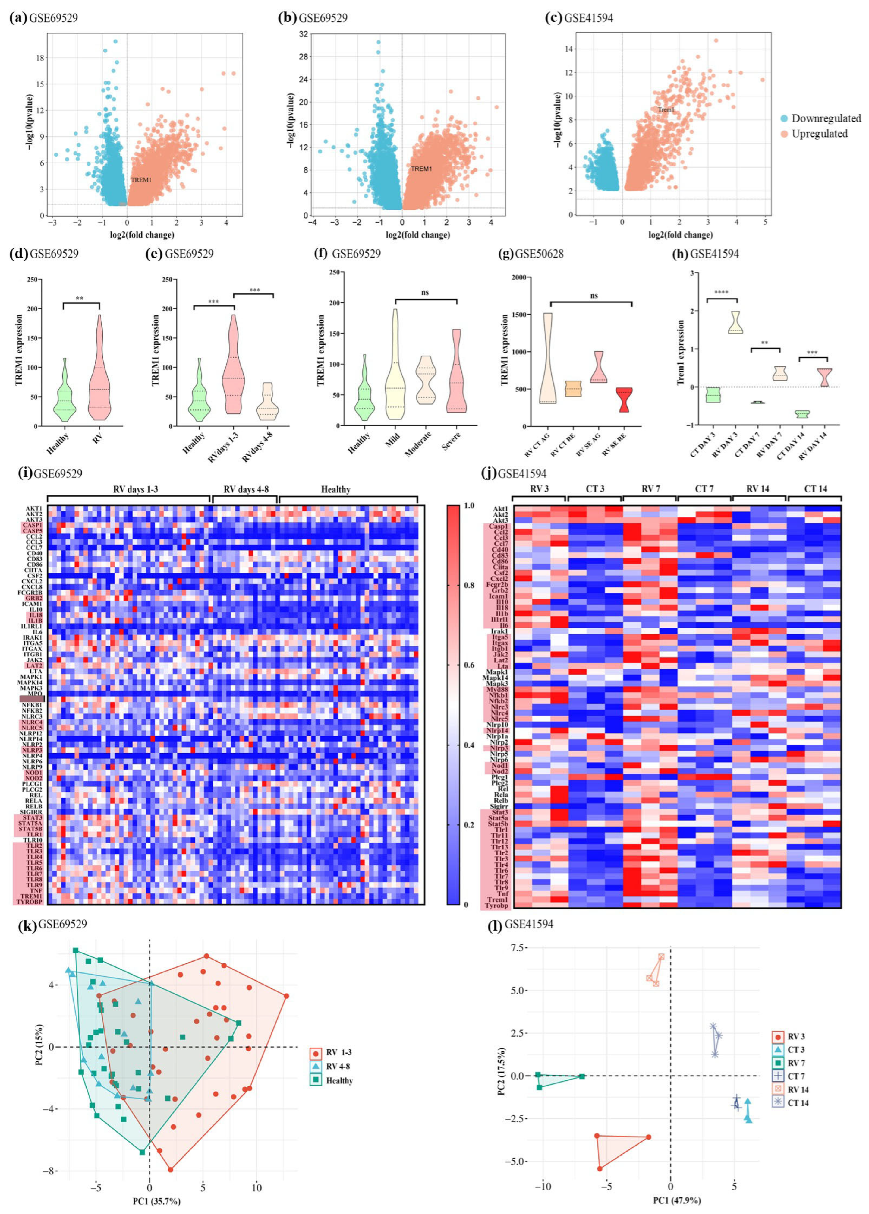 Pathogens 14 01029 g001 Pathogens 14 01029 g001