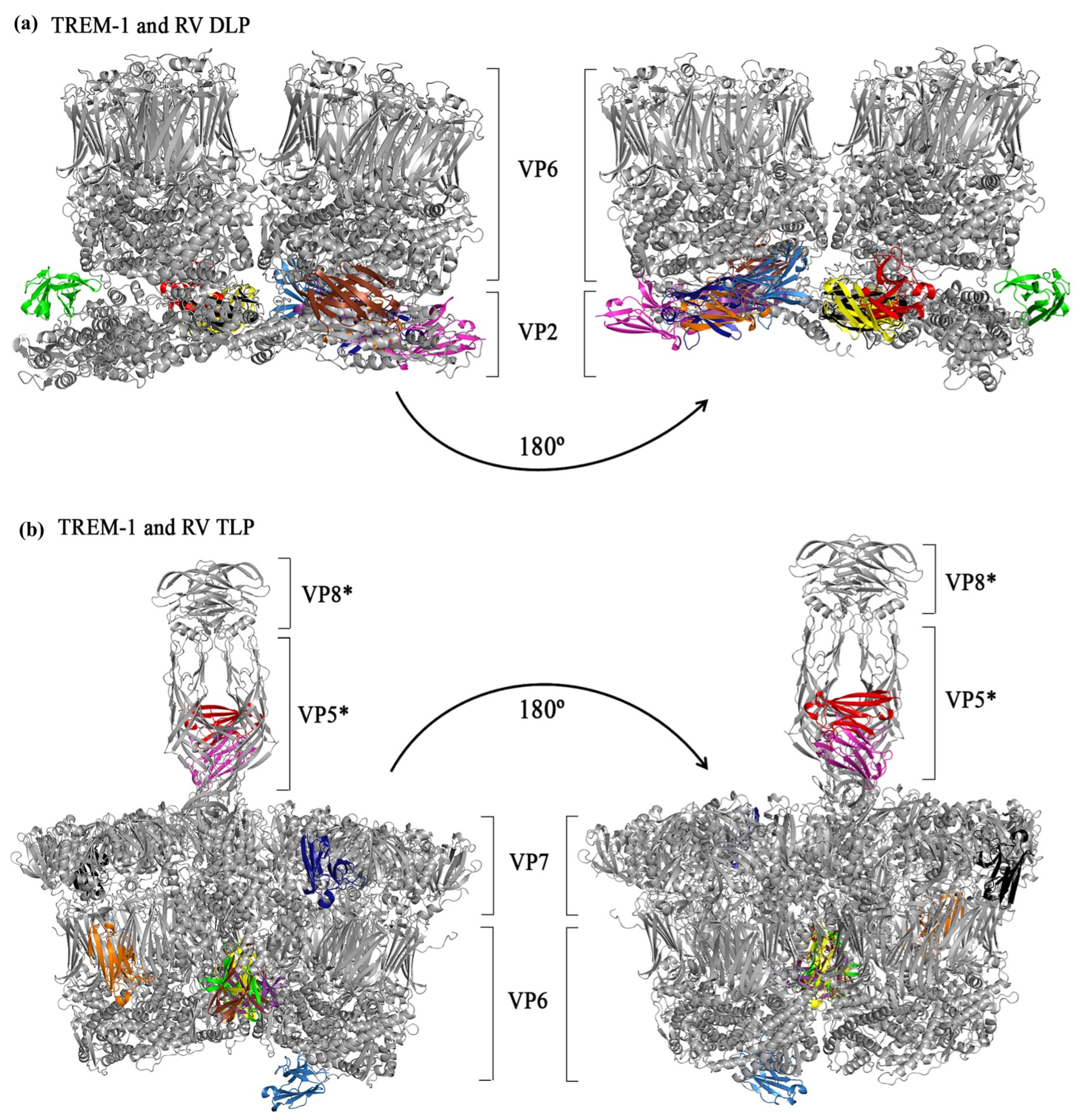 Pathogens 14 01029 g003 Pathogens 14 01029 g003
