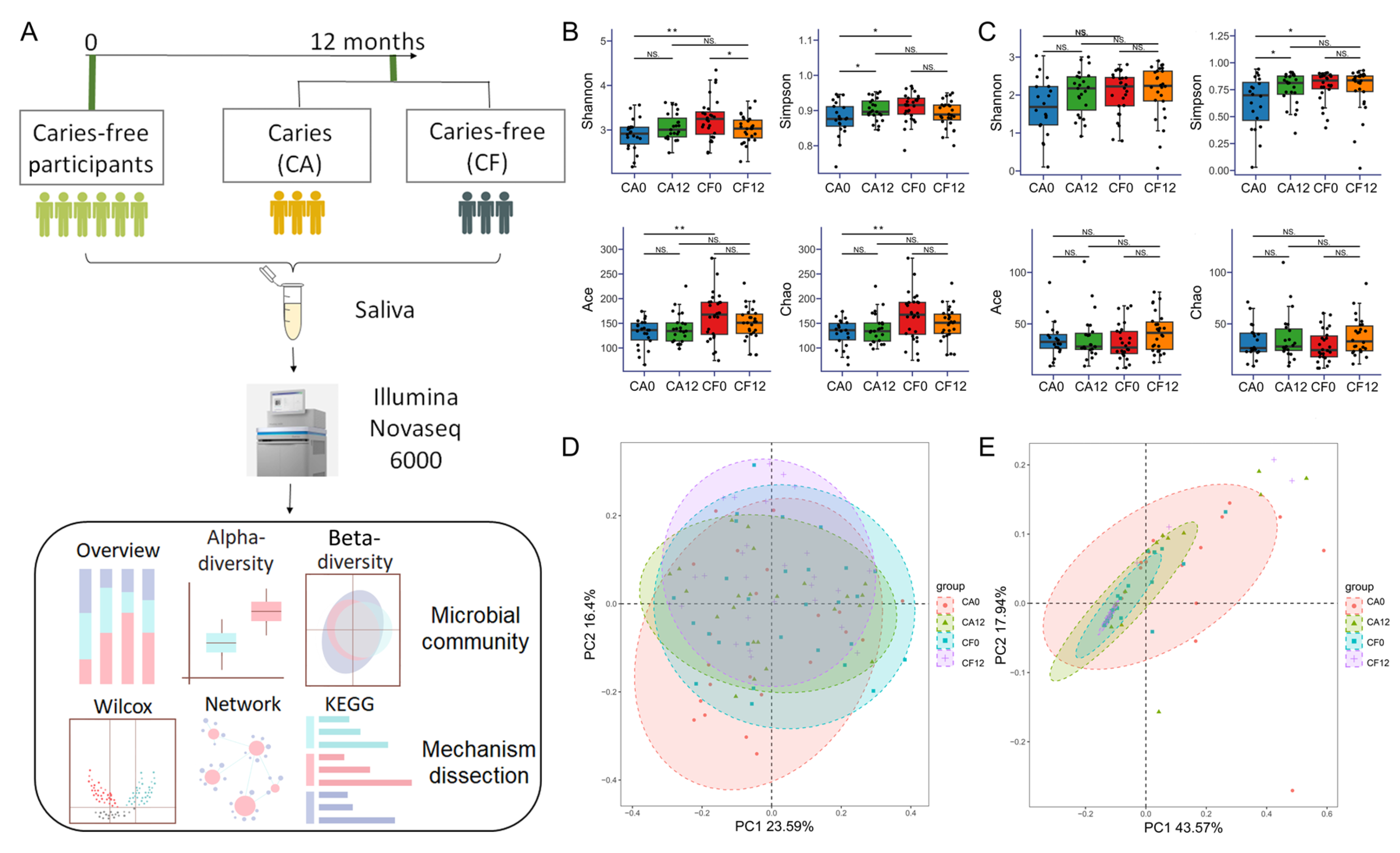 Pathogens 14 01033 g001