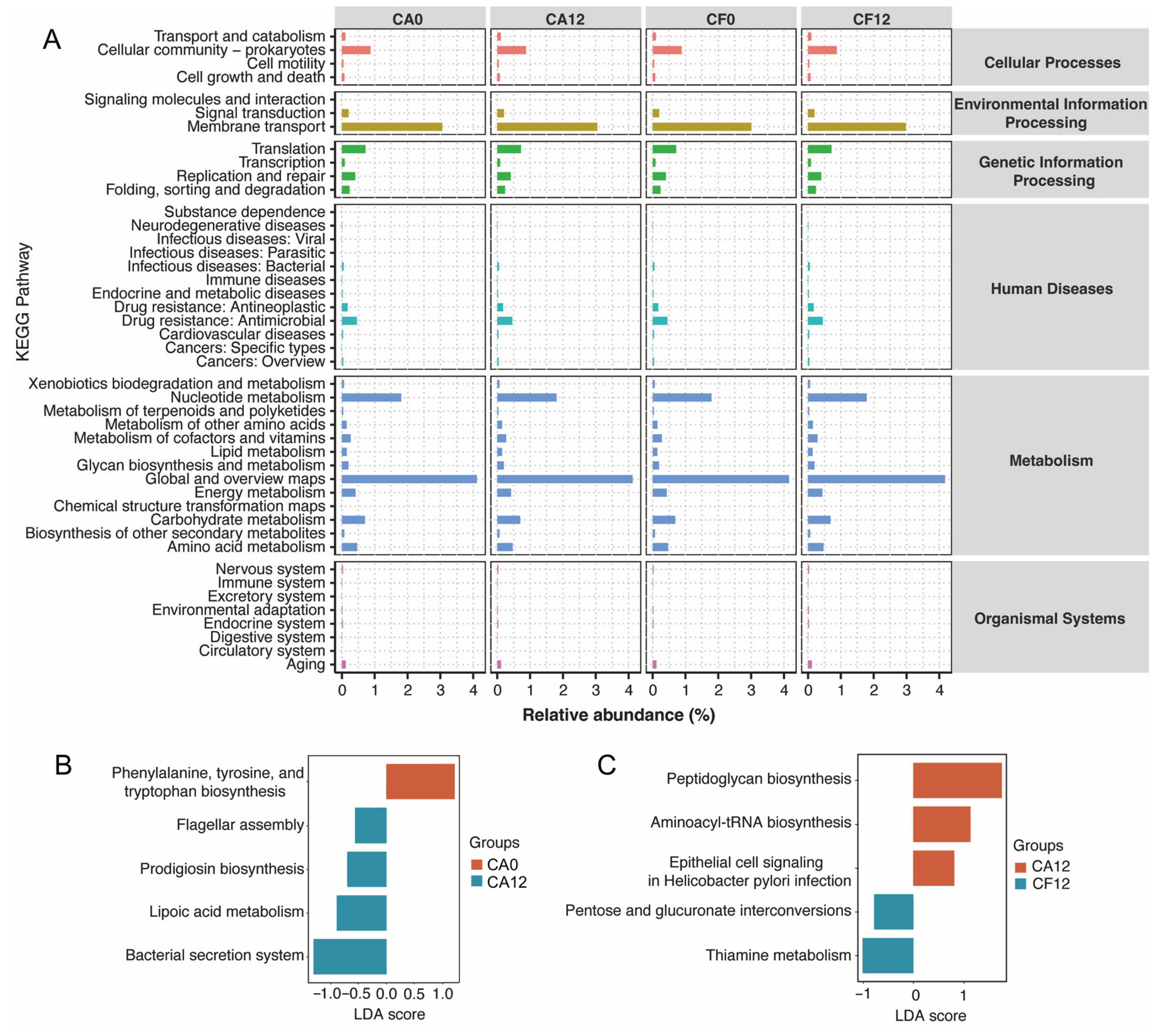 Pathogens 14 01033 g007