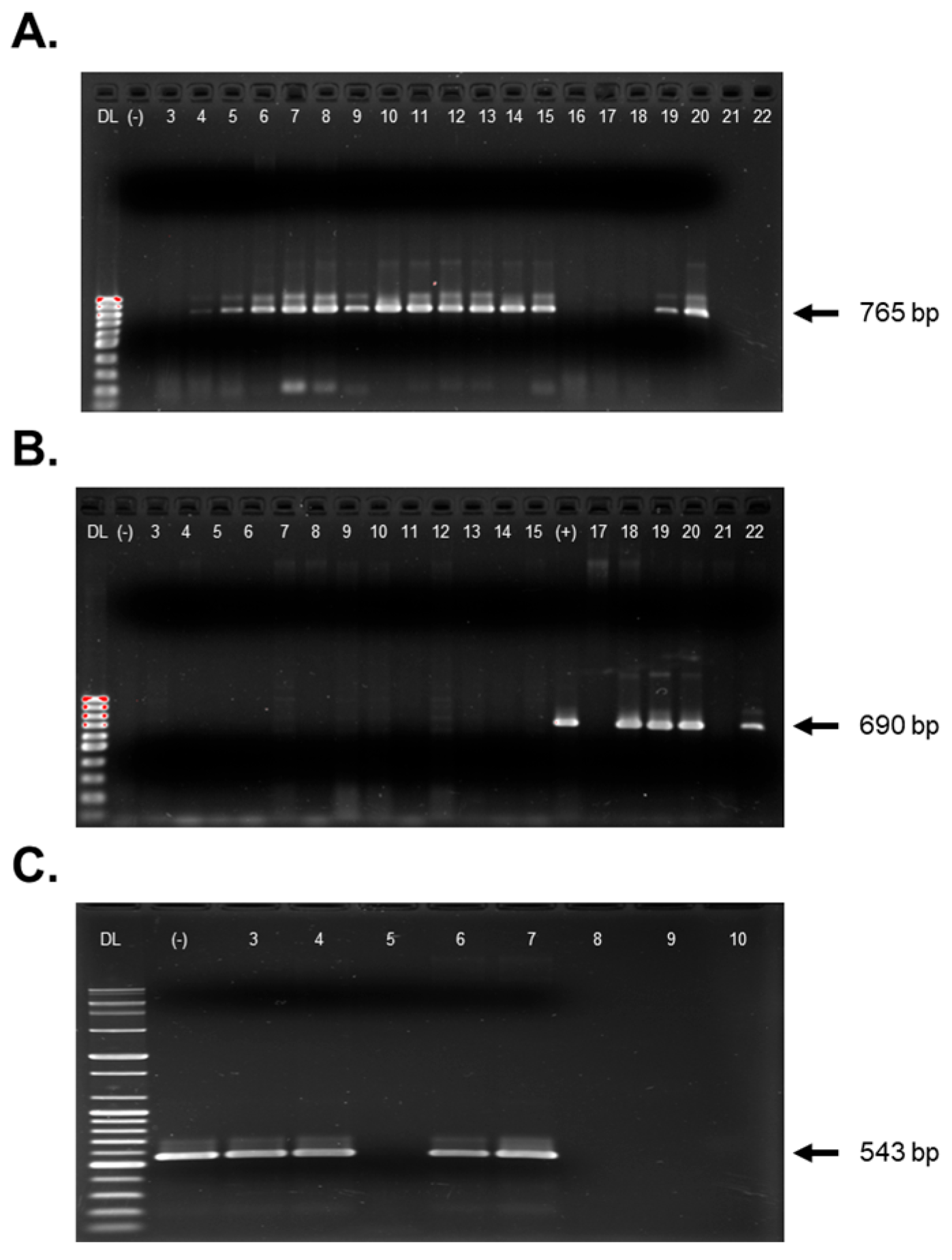 Pathogens 14 01035 g004 Pathogens 14 01035 g004