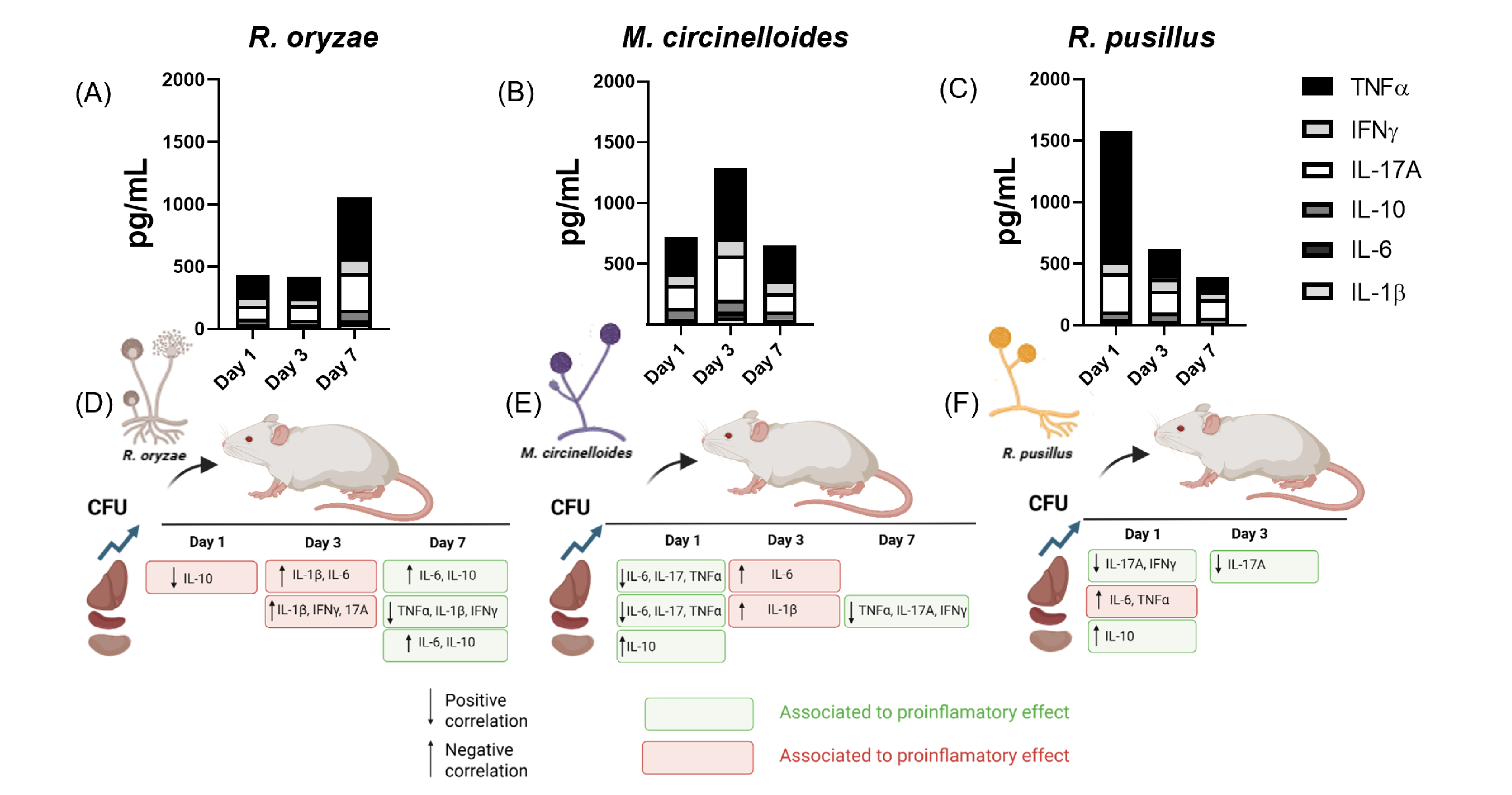 Pathogens 14 01036 g004
