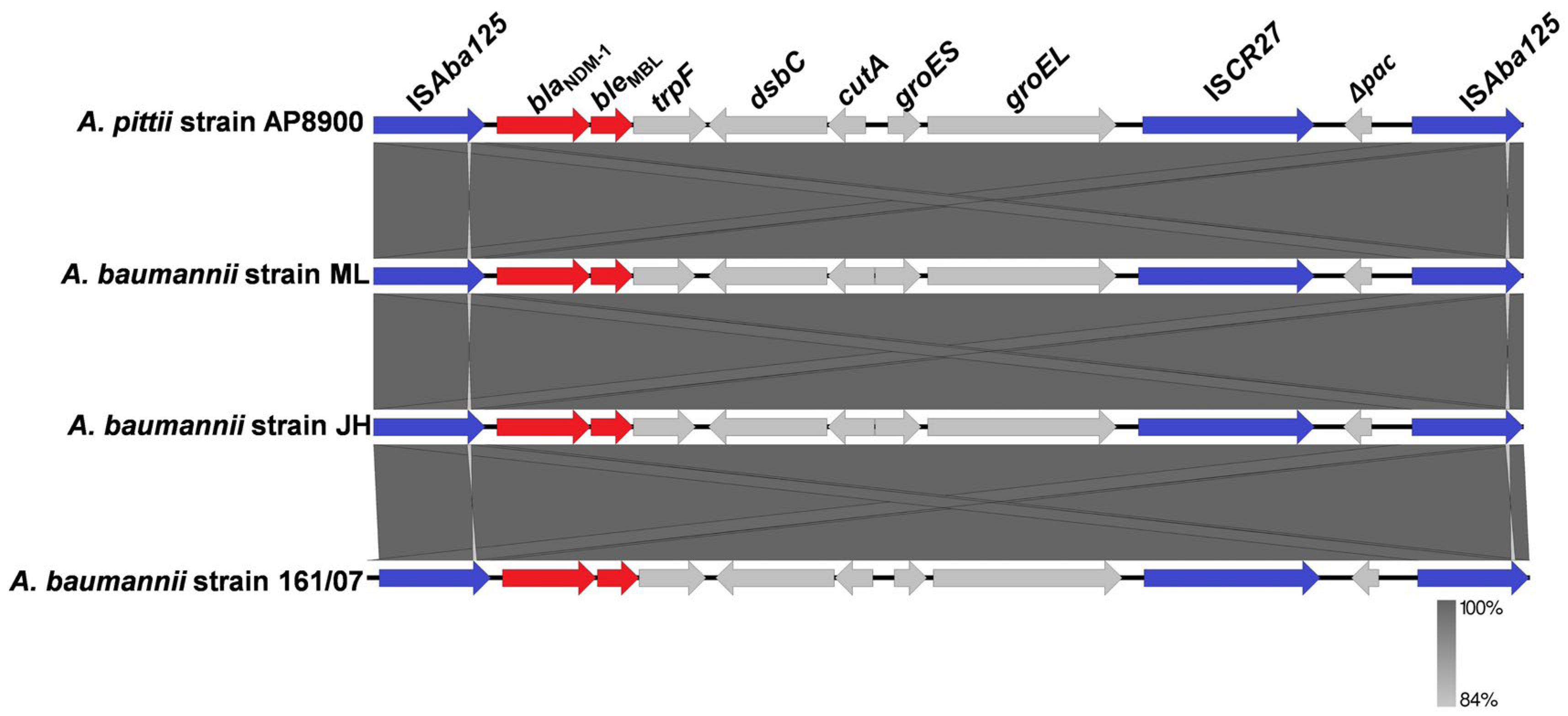 Pathogens 14 01037 g001 Pathogens 14 01037 g001