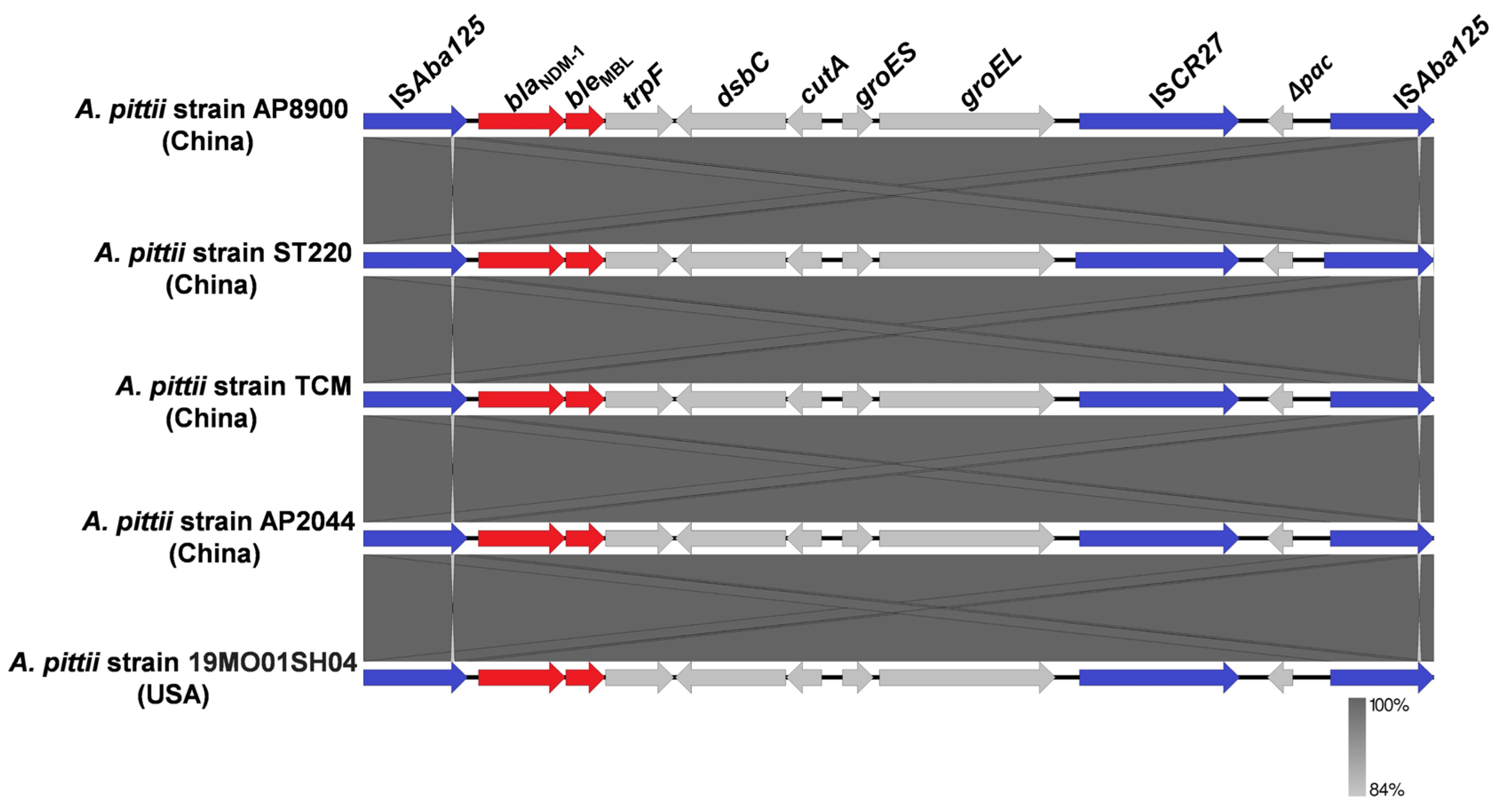 Pathogens 14 01037 g003 Pathogens 14 01037 g003