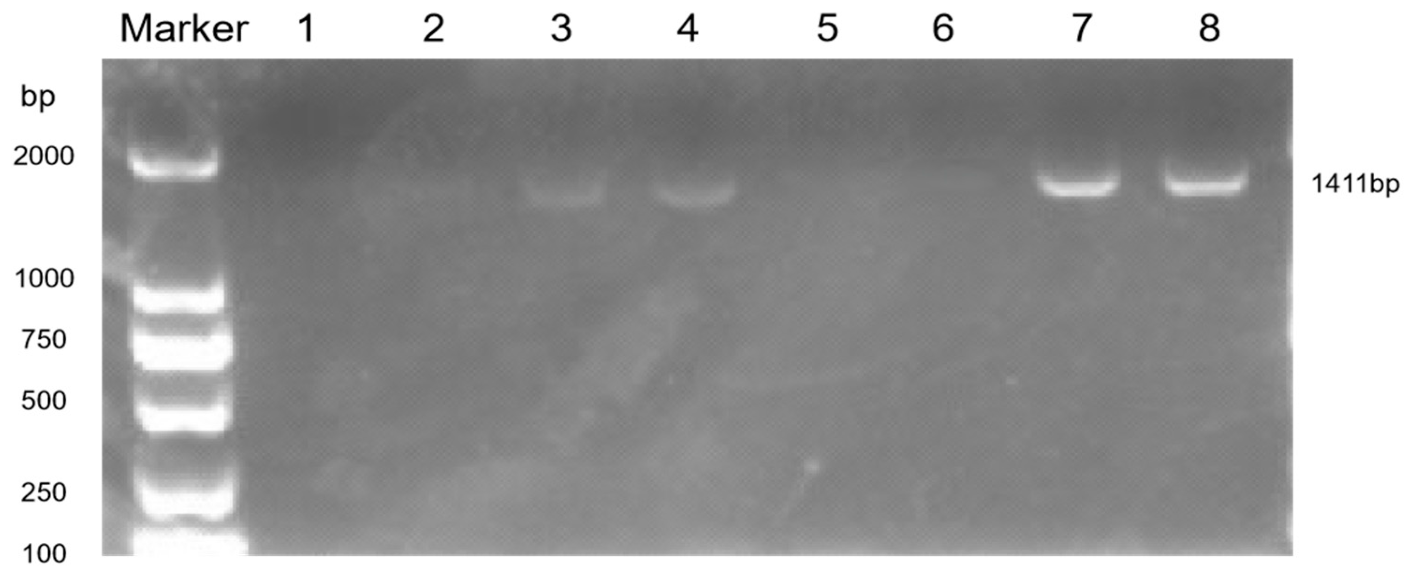Pathogens 14 01038 g006