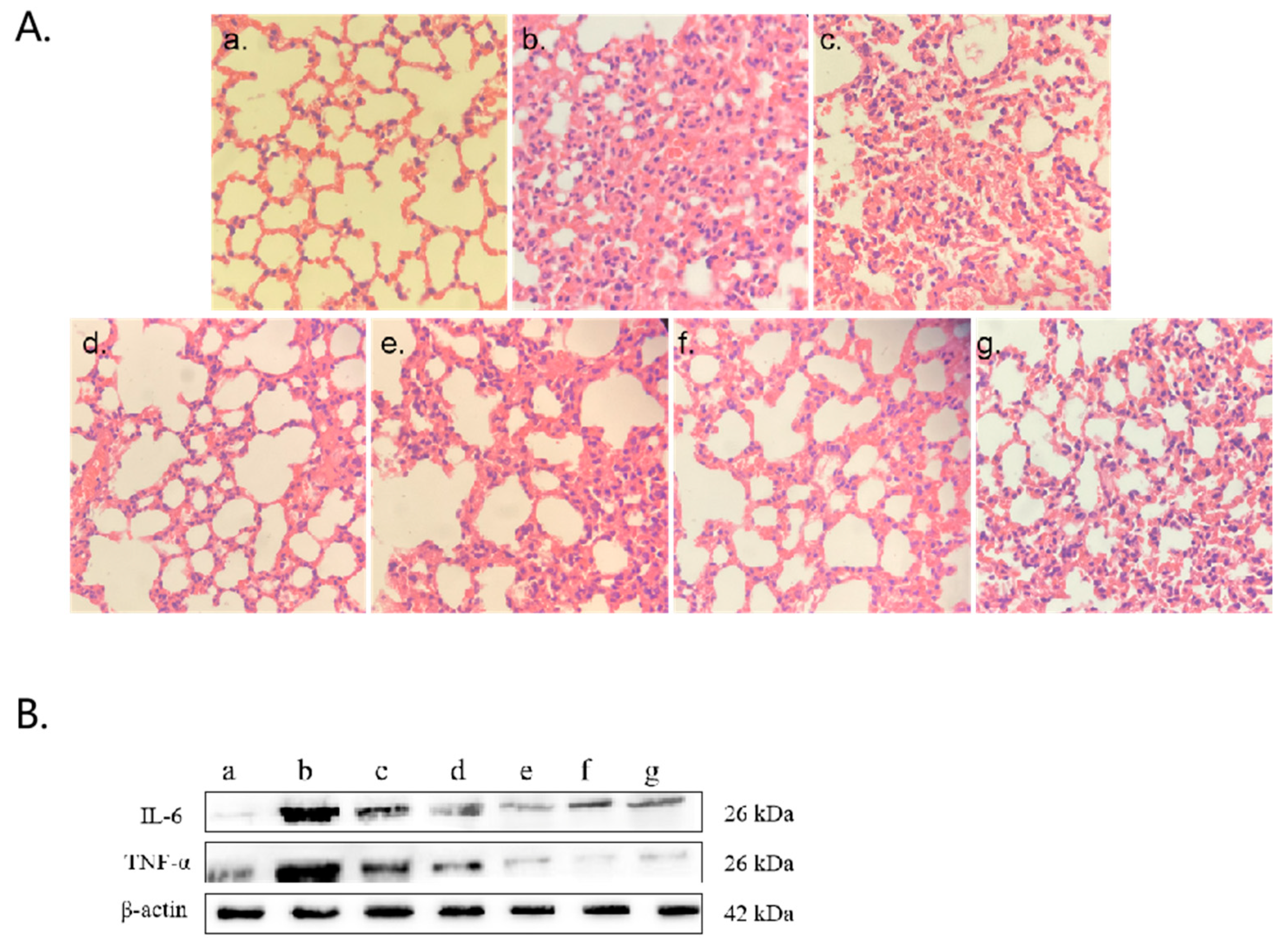 Pathogens 14 01038 g007a
