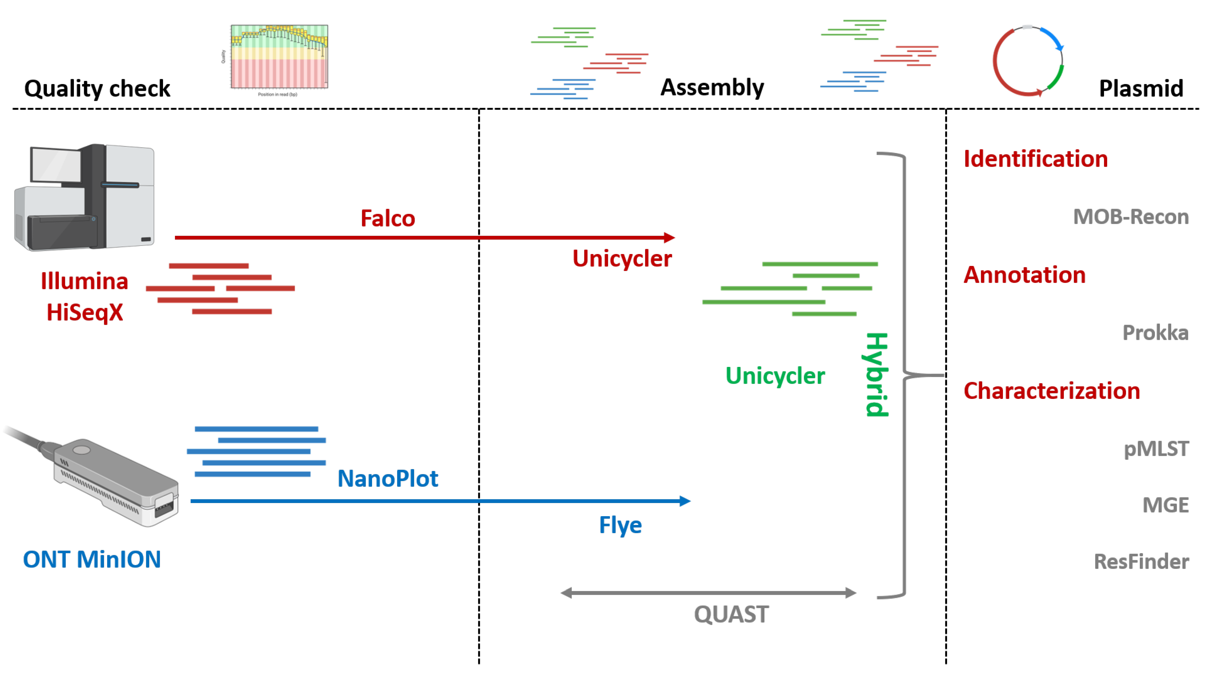 Pathogens 14 01039 g001