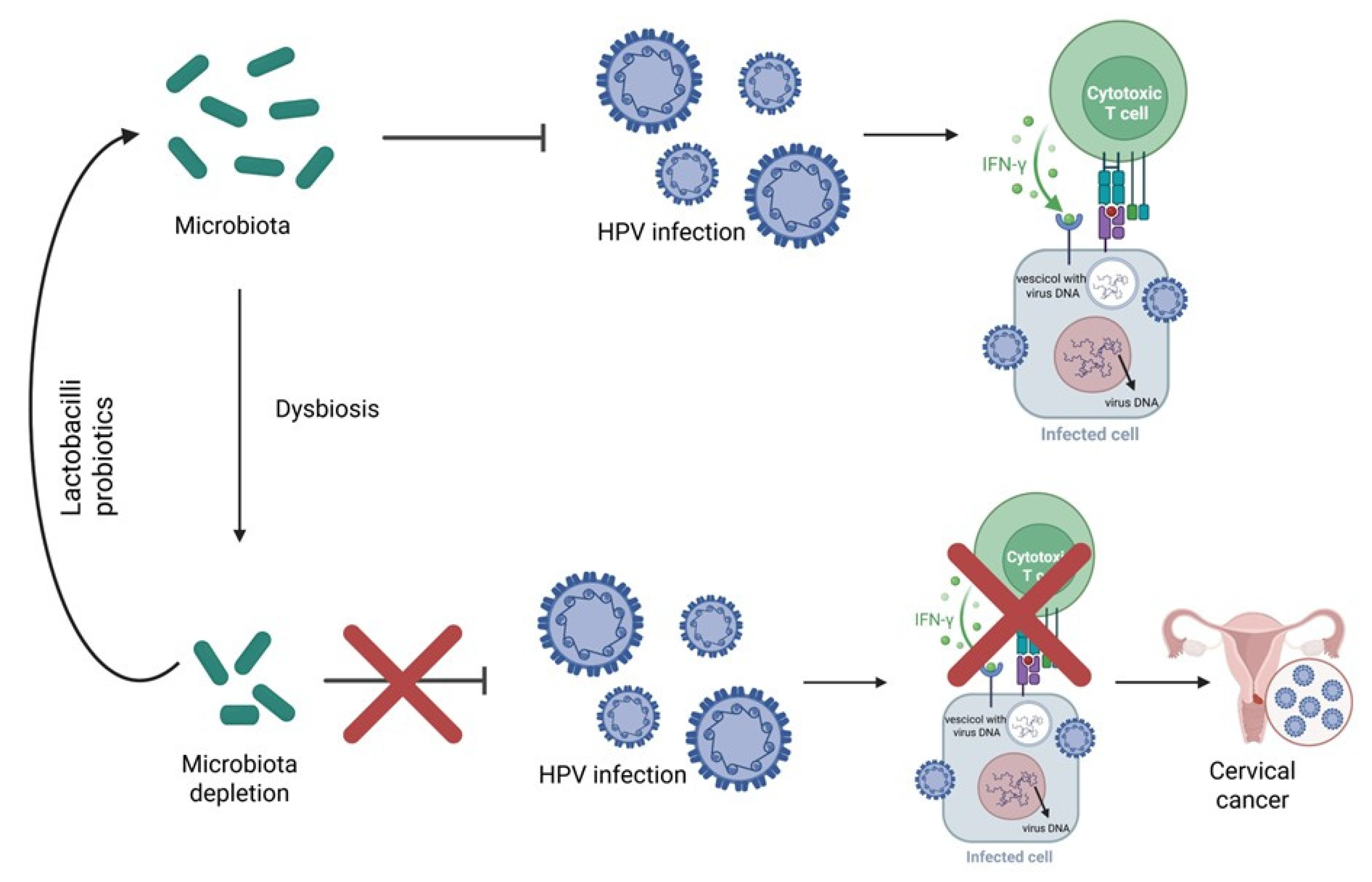 Pathogens 14 01043 g001 Pathogens 14 01043 g001