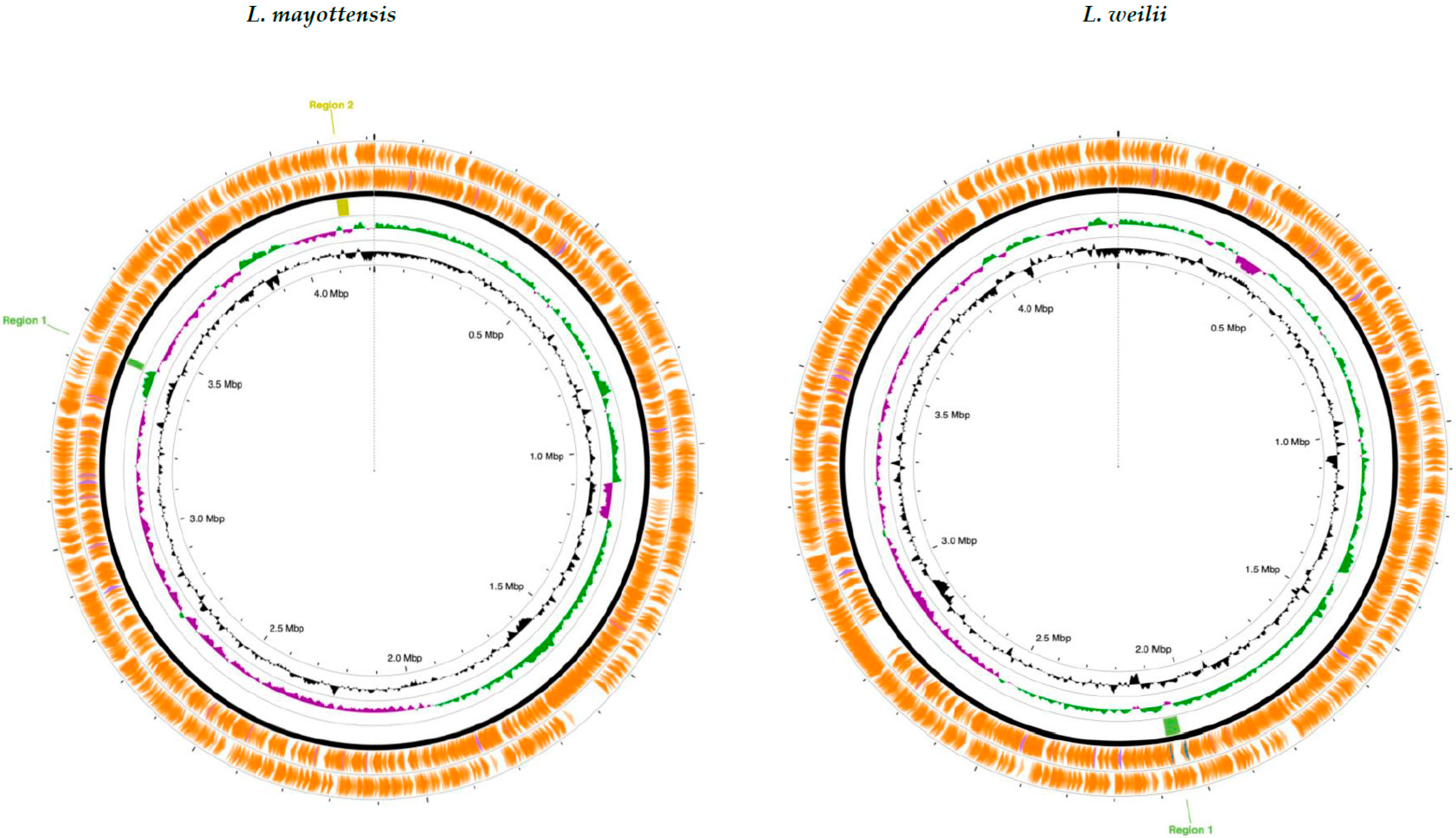 Pathogens 14 01044 g003a