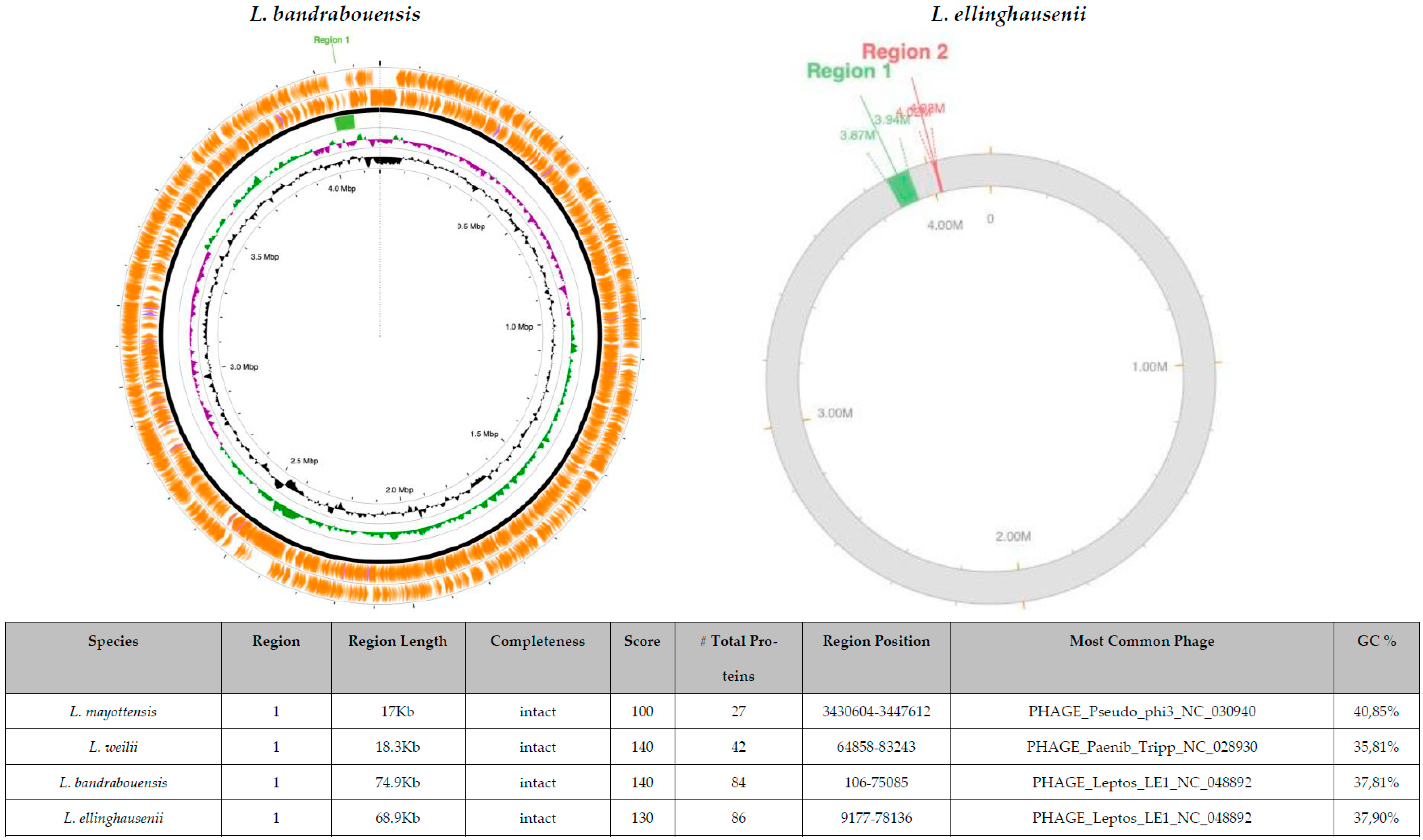 Pathogens 14 01044 g003b