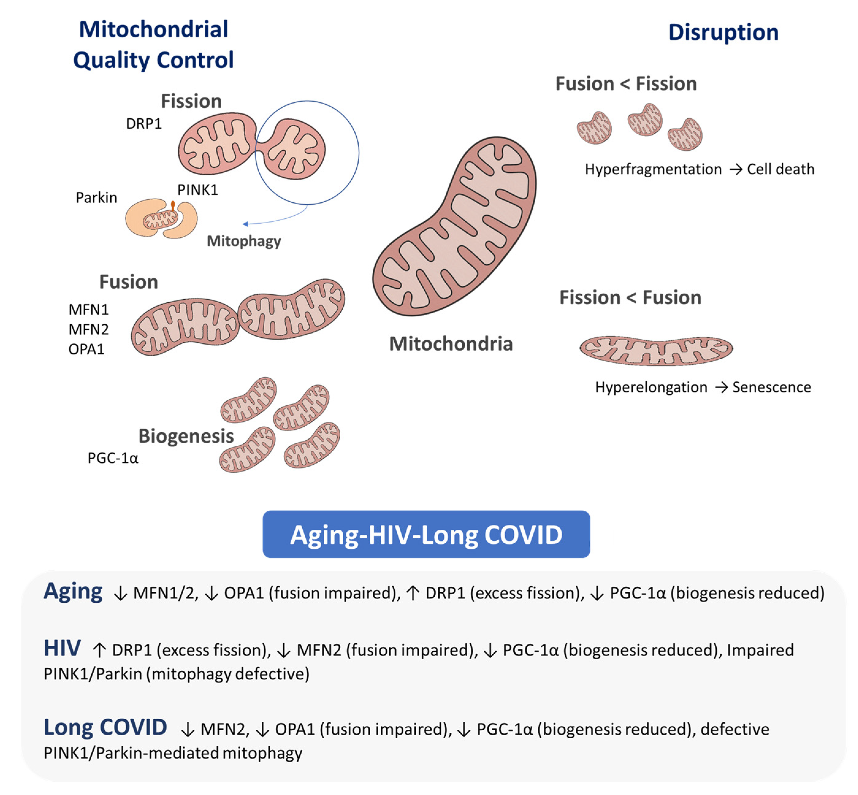 Pathogens 14 01045 g001 Pathogens 14 01045 g001
