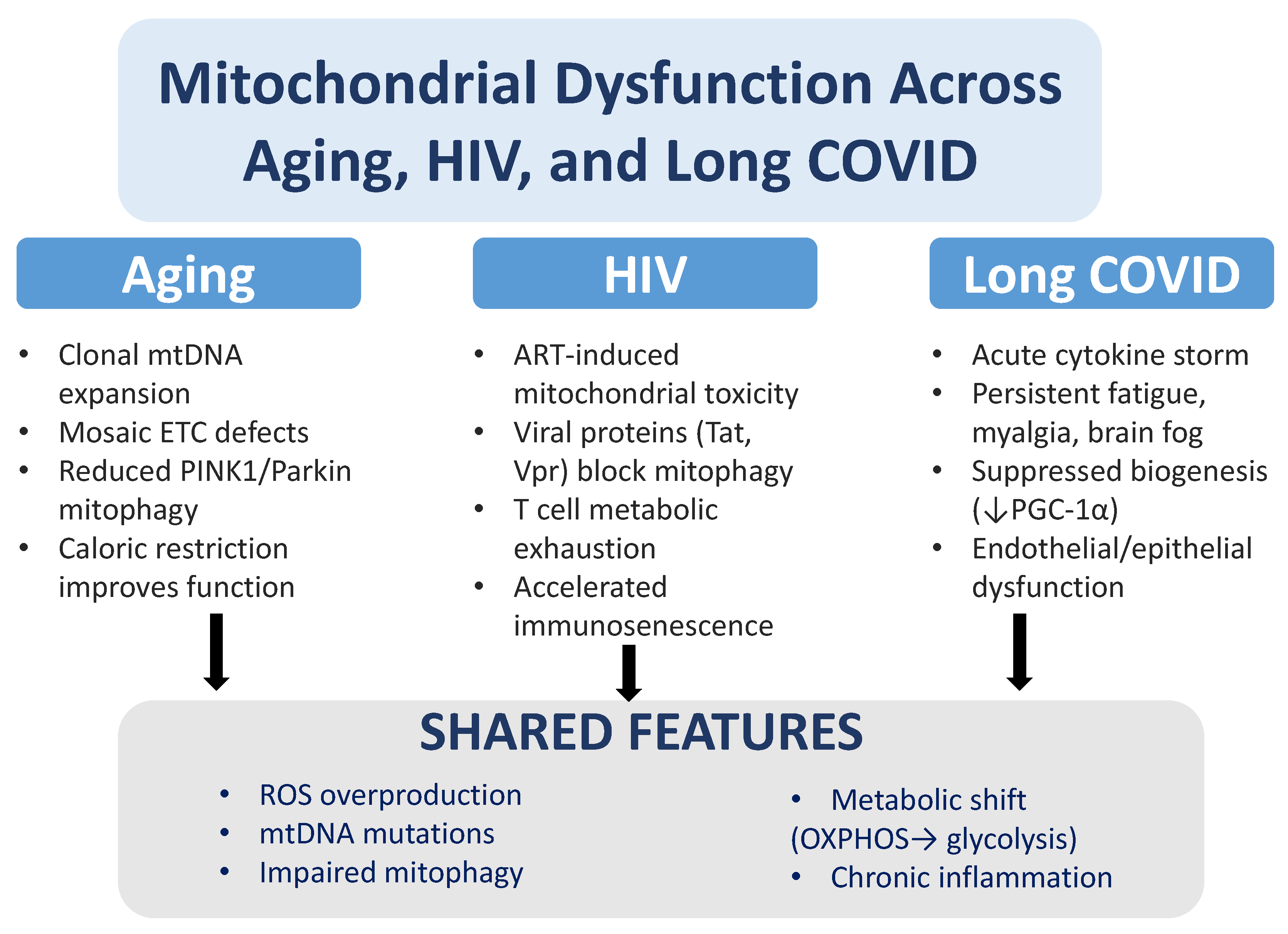 Pathogens 14 01045 g002 Pathogens 14 01045 g002