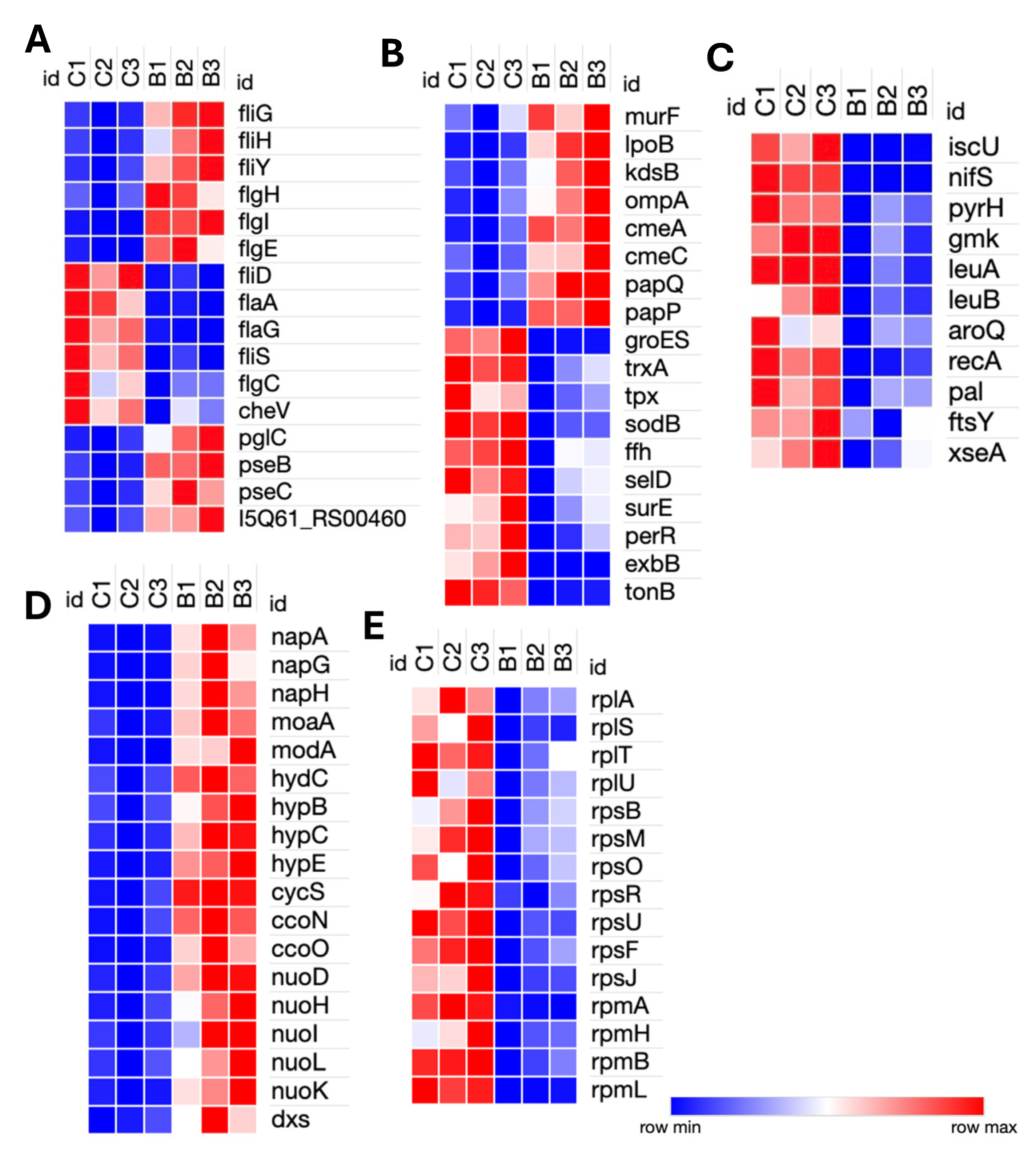 Pathogens 14 01048 g002 Pathogens 14 01048 g002