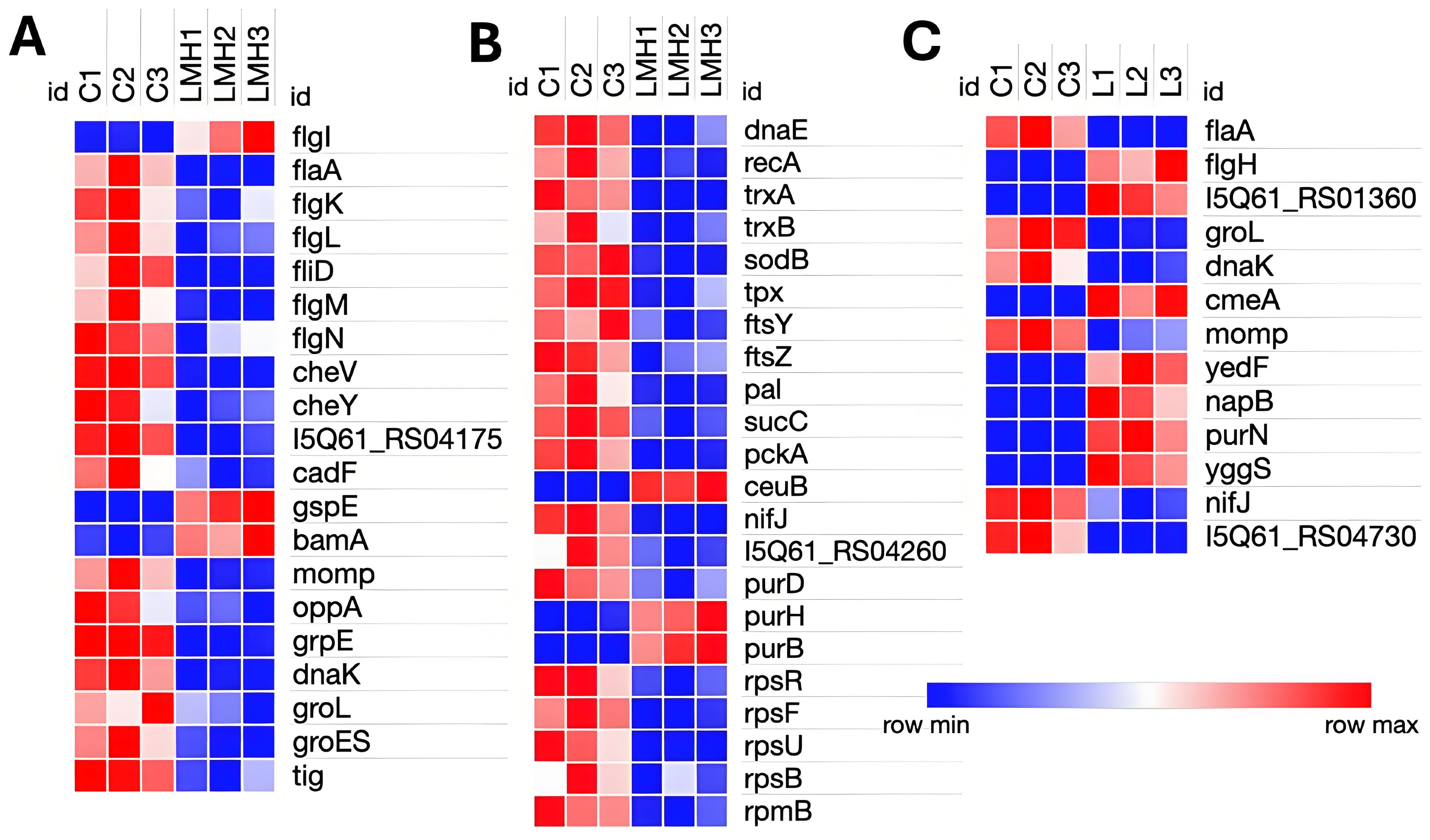 Pathogens 14 01048 g003 Pathogens 14 01048 g003
