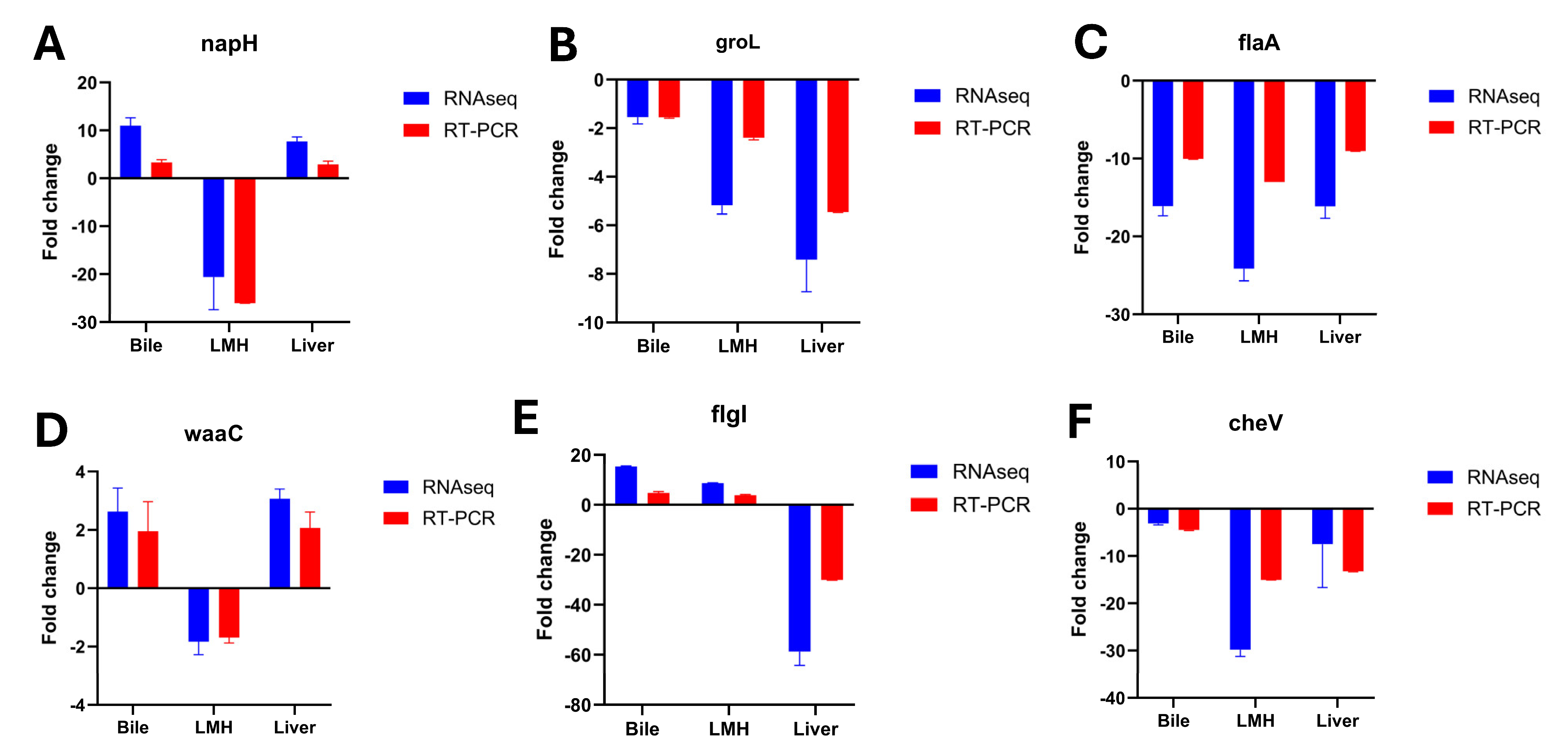 Pathogens 14 01048 g004 Pathogens 14 01048 g004