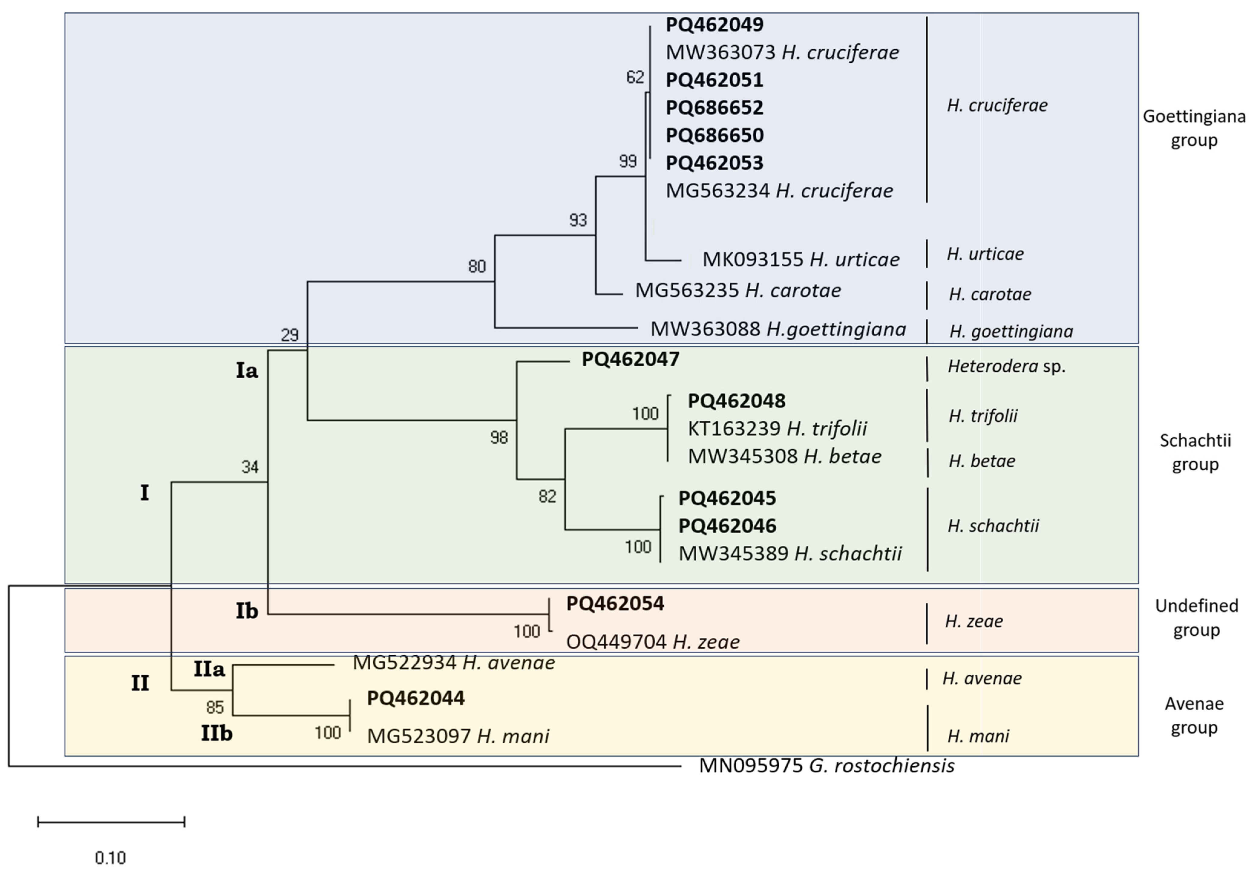 Pathogens 14 01052 g001 Pathogens 14 01052 g001