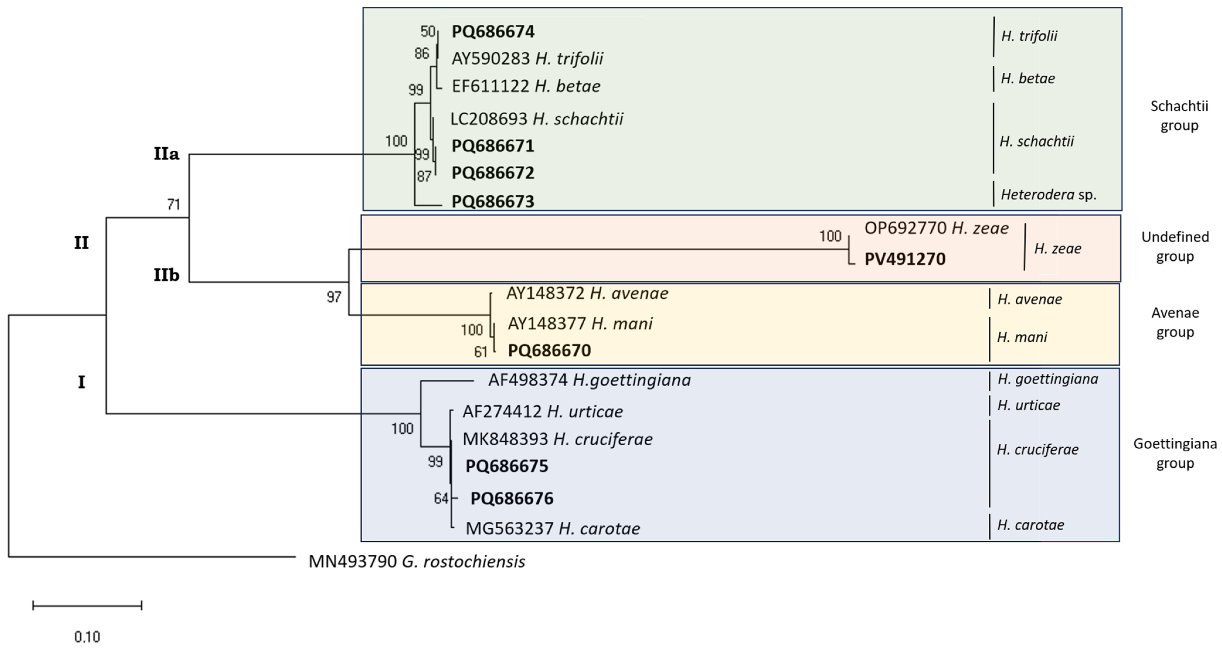 Pathogens 14 01052 g004 Pathogens 14 01052 g004