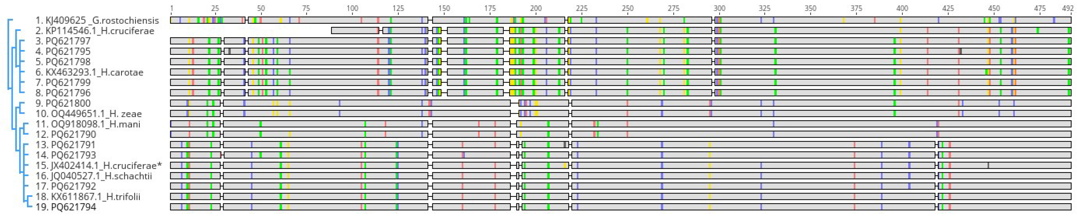 Pathogens 14 01052 g005 Pathogens 14 01052 g005