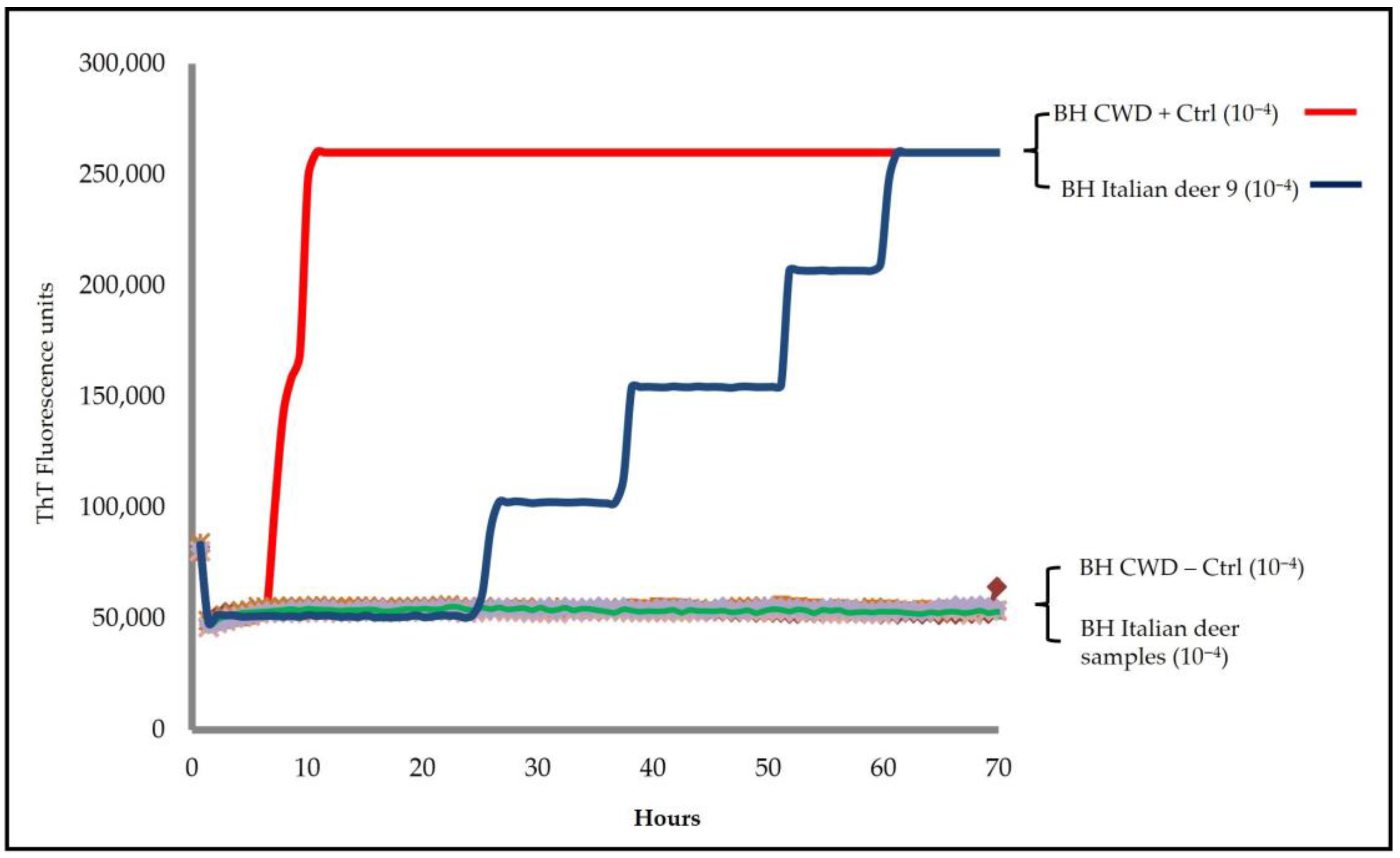Pathogens 14 01053 g001