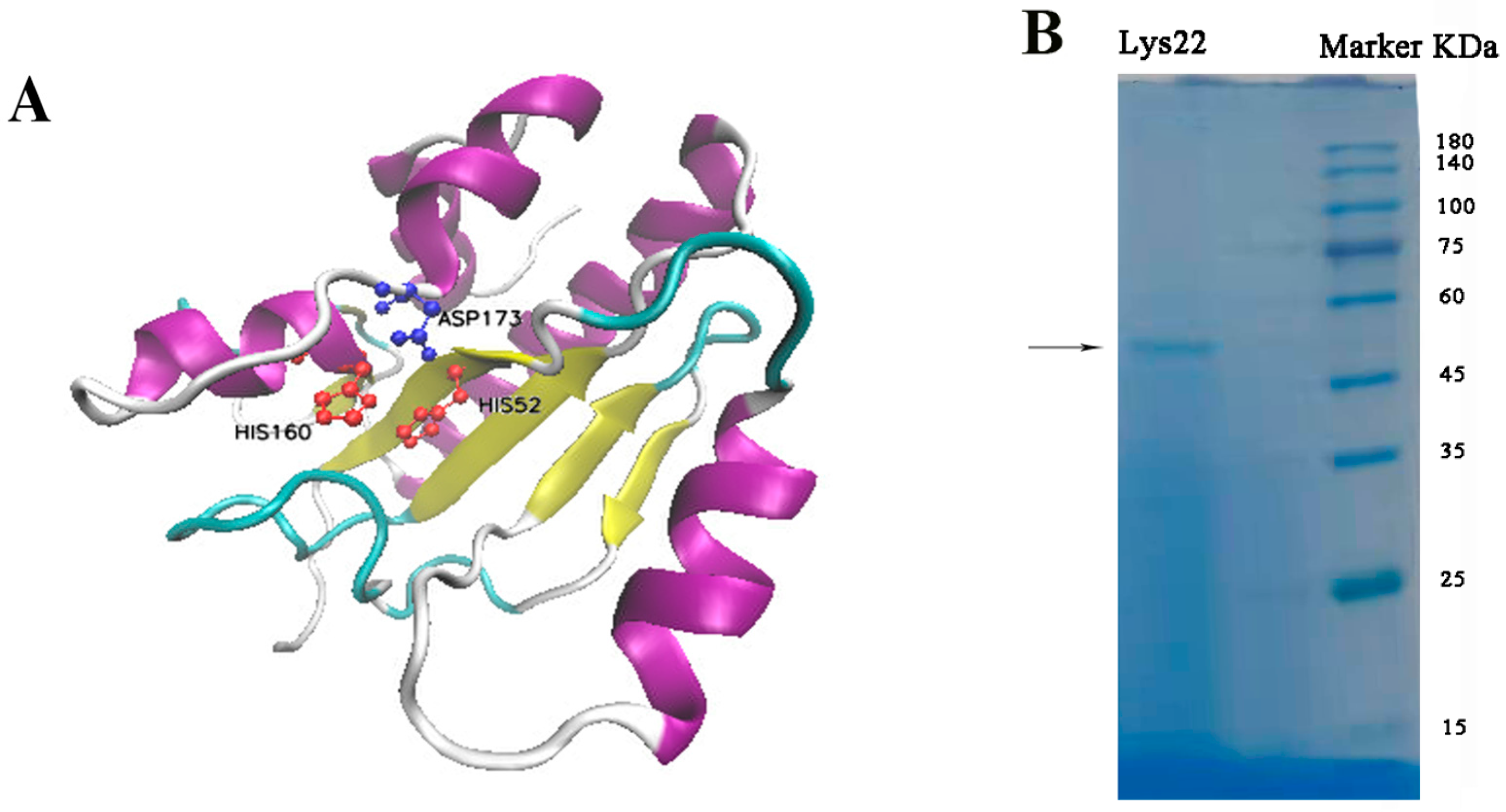 Pathogens 14 01060 g001 Pathogens 14 01060 g001