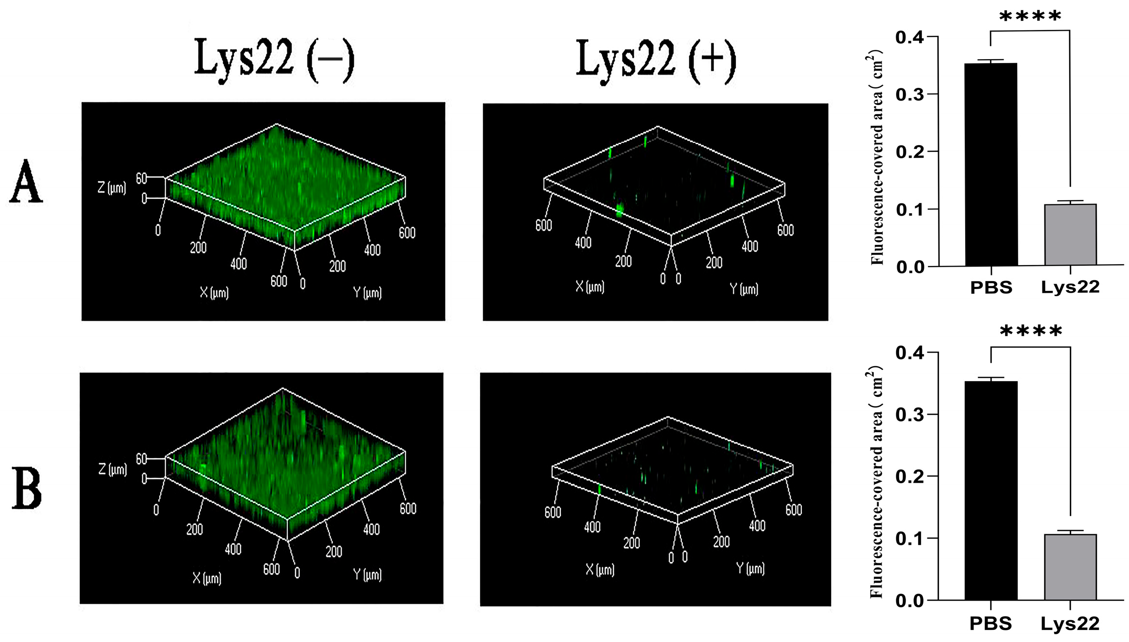 Pathogens 14 01060 g003 Pathogens 14 01060 g003