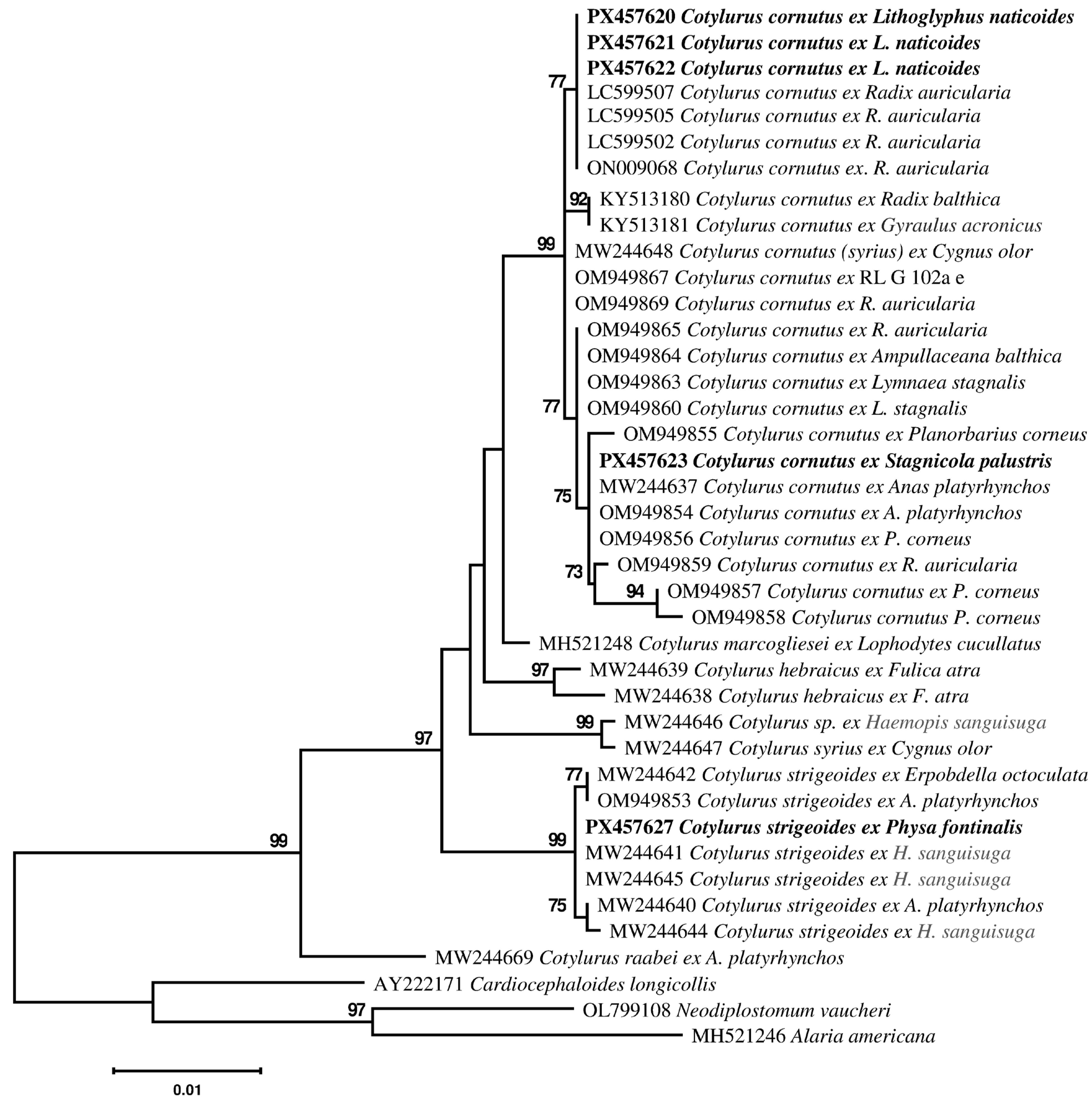 Pathogens 14 01063 g001 Pathogens 14 01063 g001