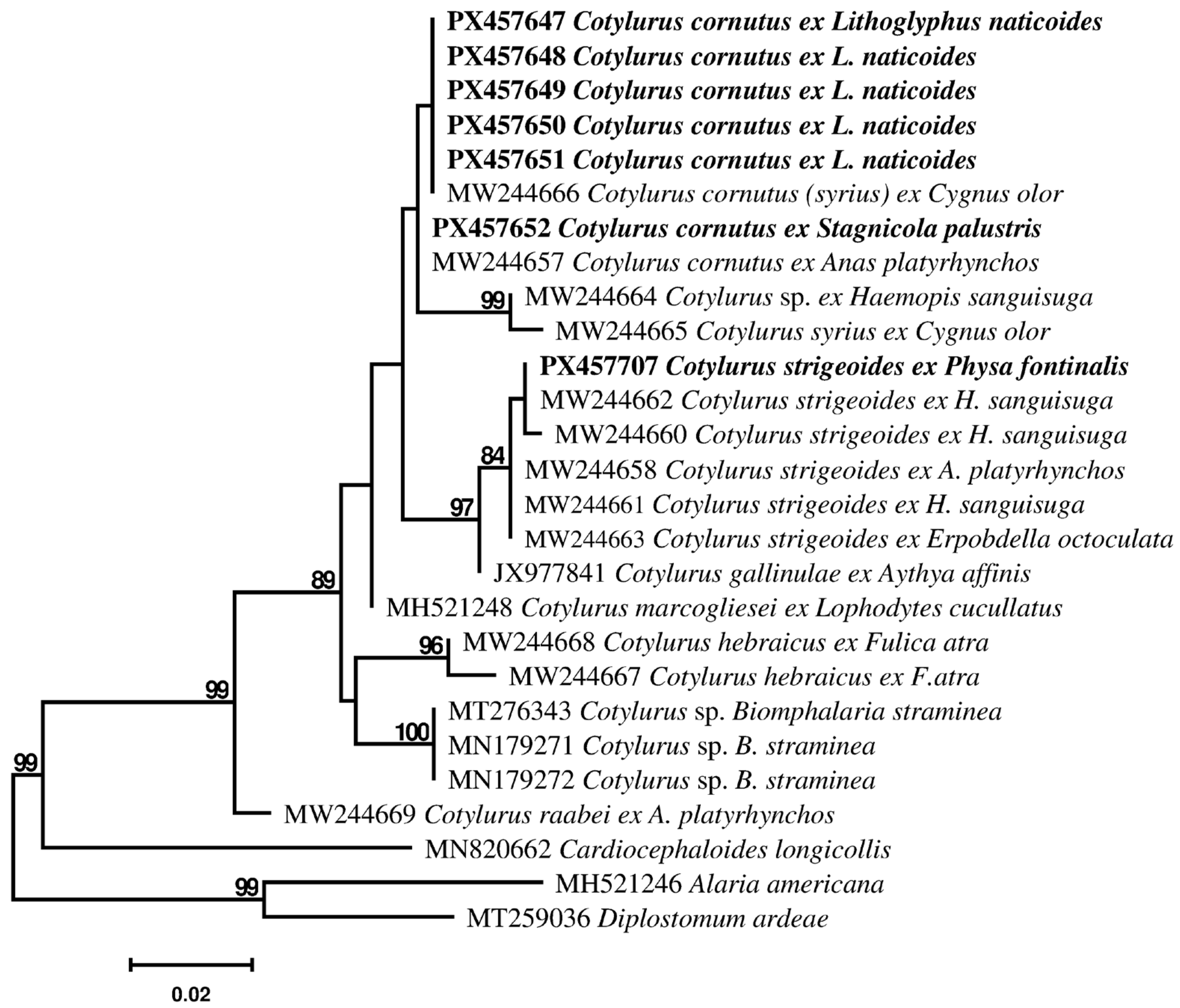 Pathogens 14 01063 g002 Pathogens 14 01063 g002