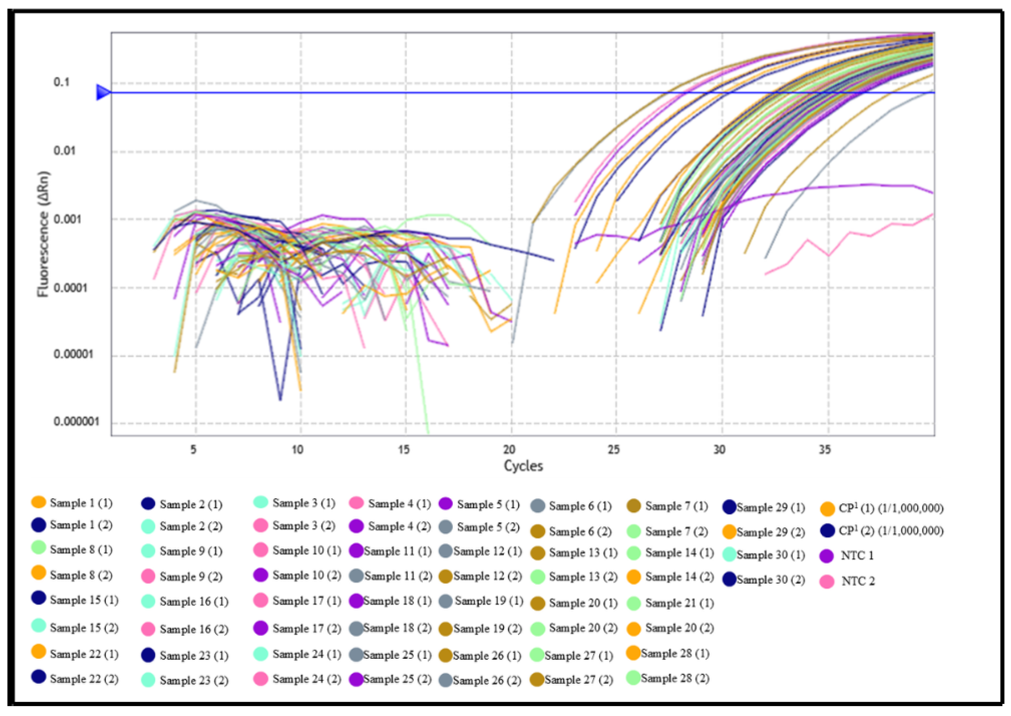 Pathogens 14 01065 g001 Pathogens 14 01065 g001