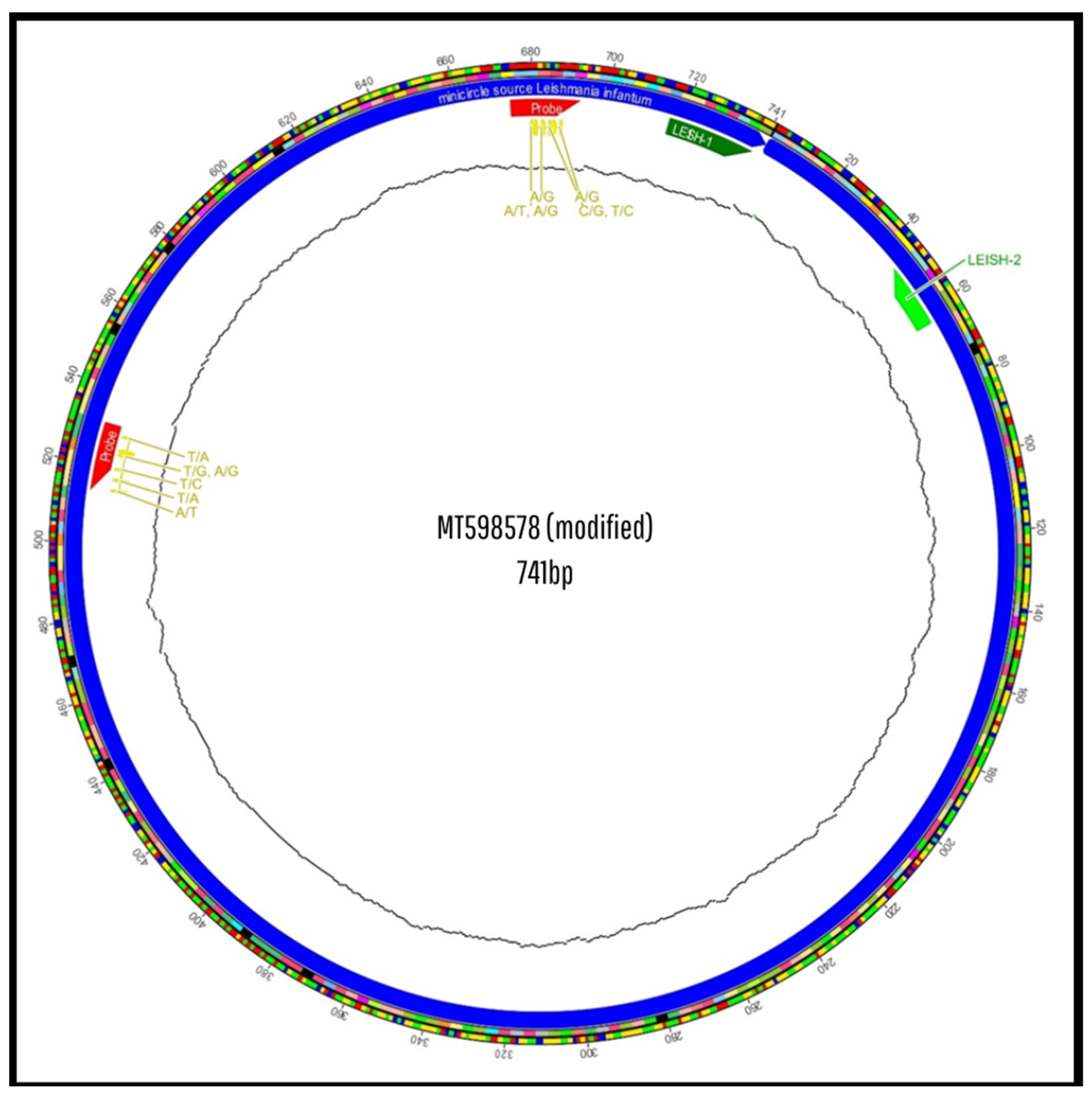 Pathogens 14 01065 g005 Pathogens 14 01065 g005