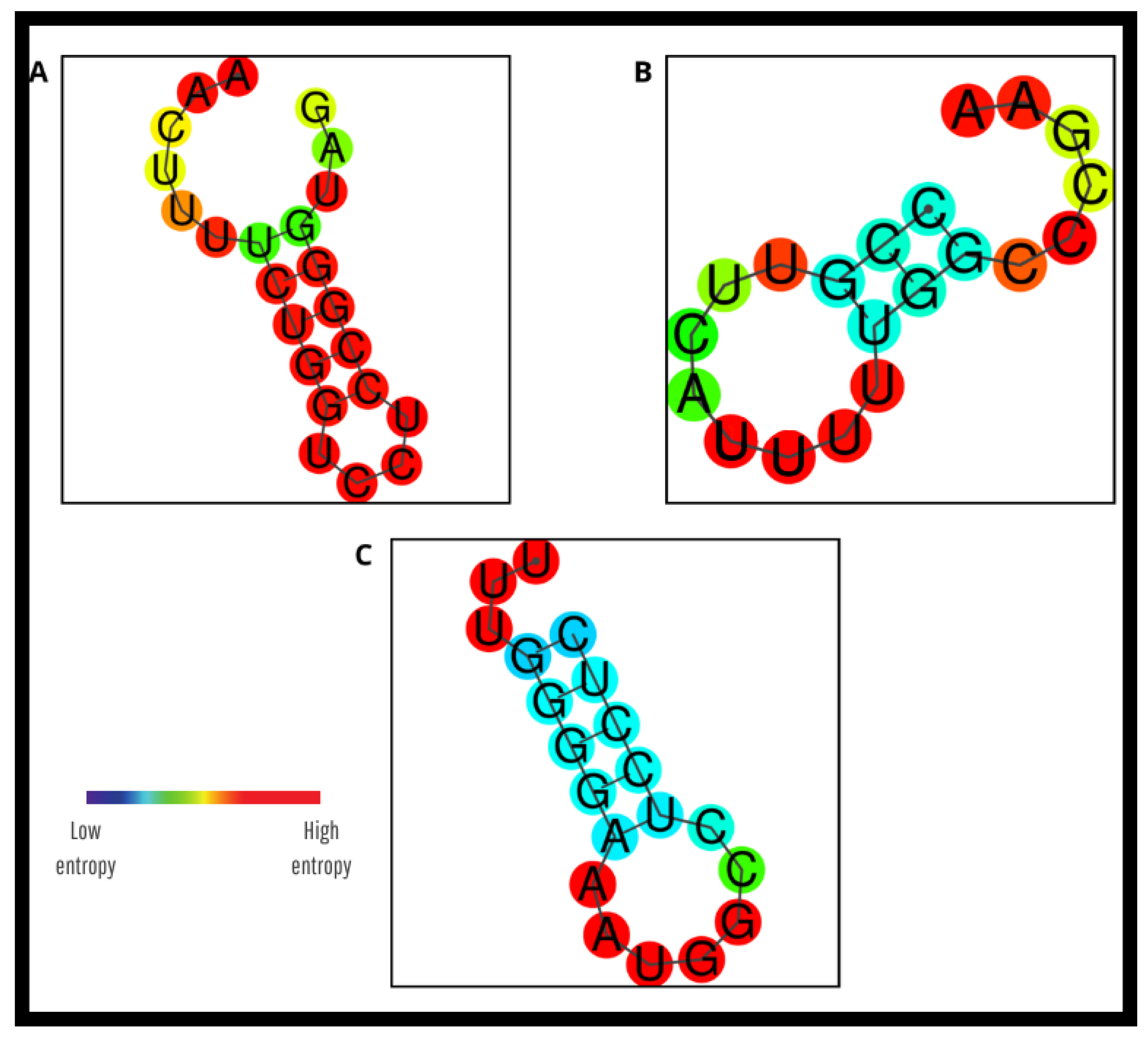 Pathogens 14 01065 g006 Pathogens 14 01065 g006