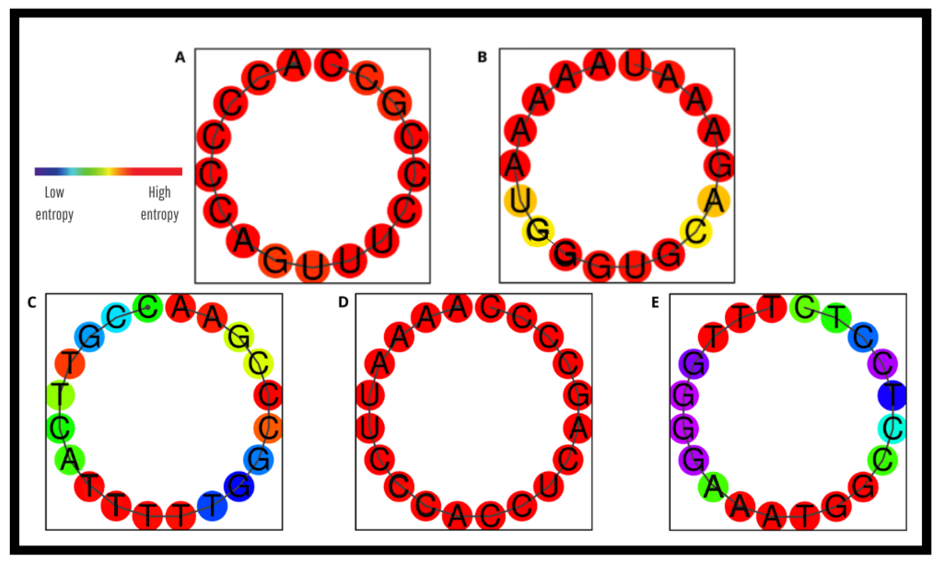 Pathogens 14 01065 g007 Pathogens 14 01065 g007