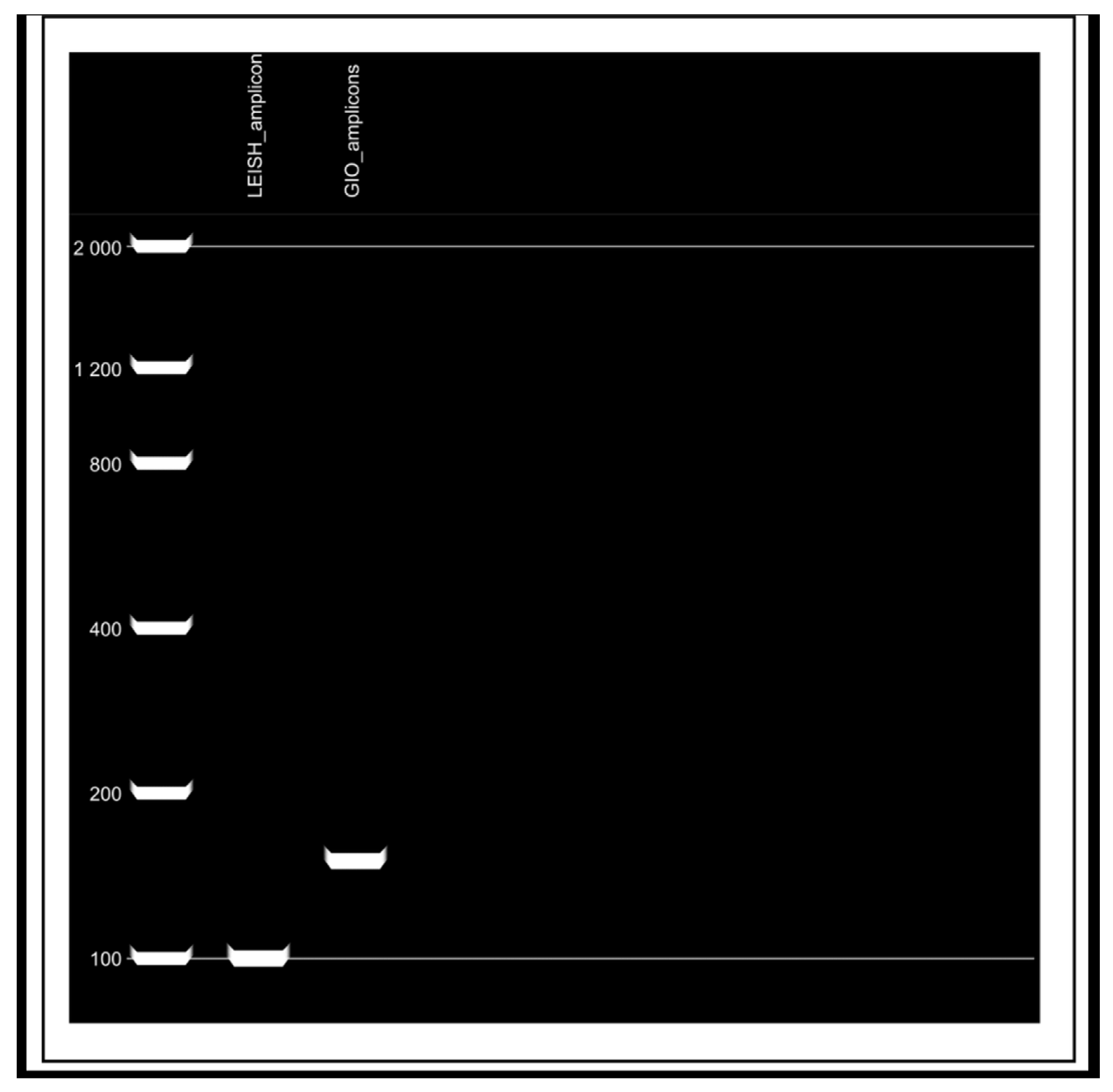 Pathogens 14 01065 g008 Pathogens 14 01065 g008