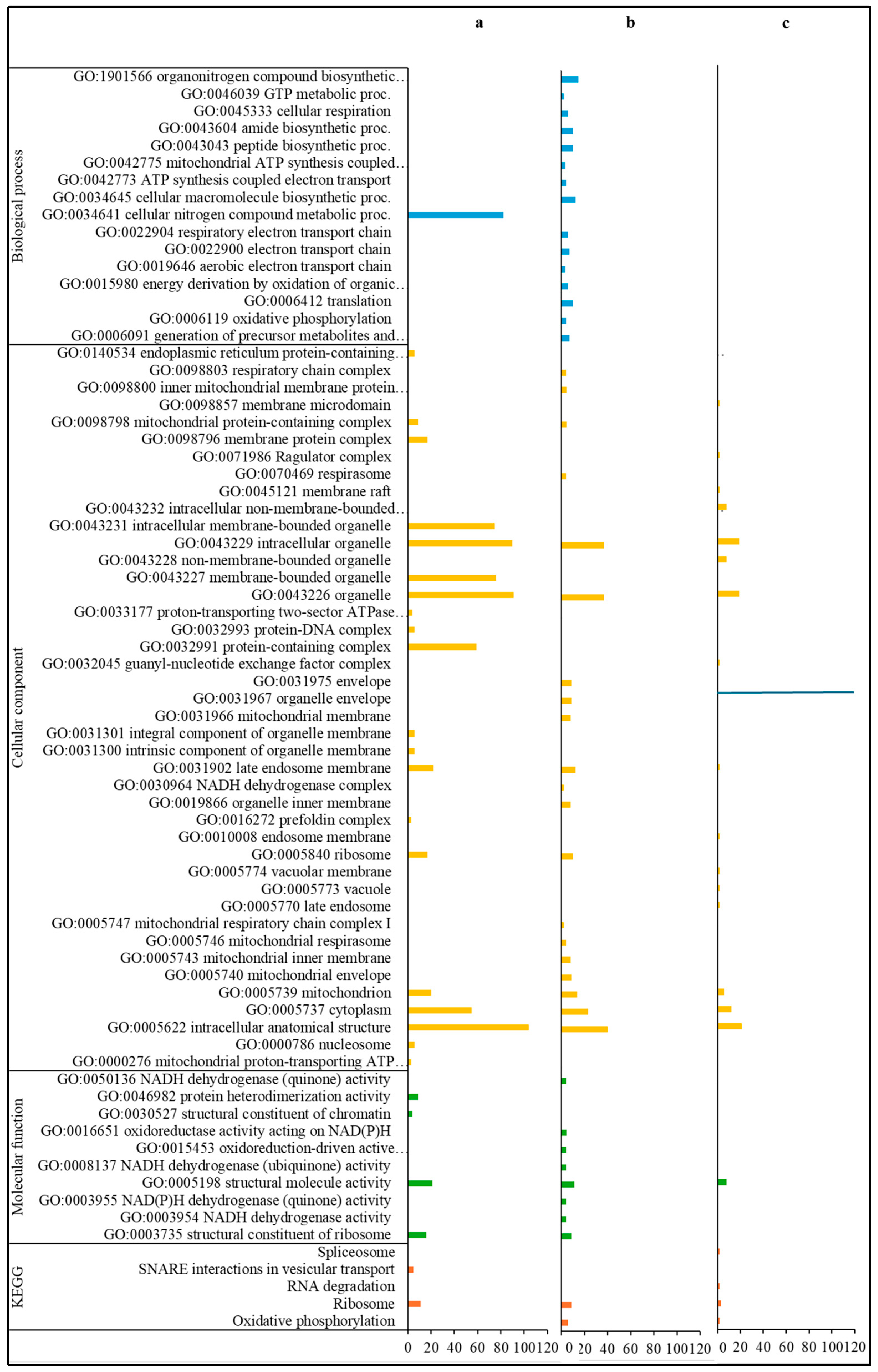 Pathogens 14 01077 g003 Pathogens 14 01077 g003