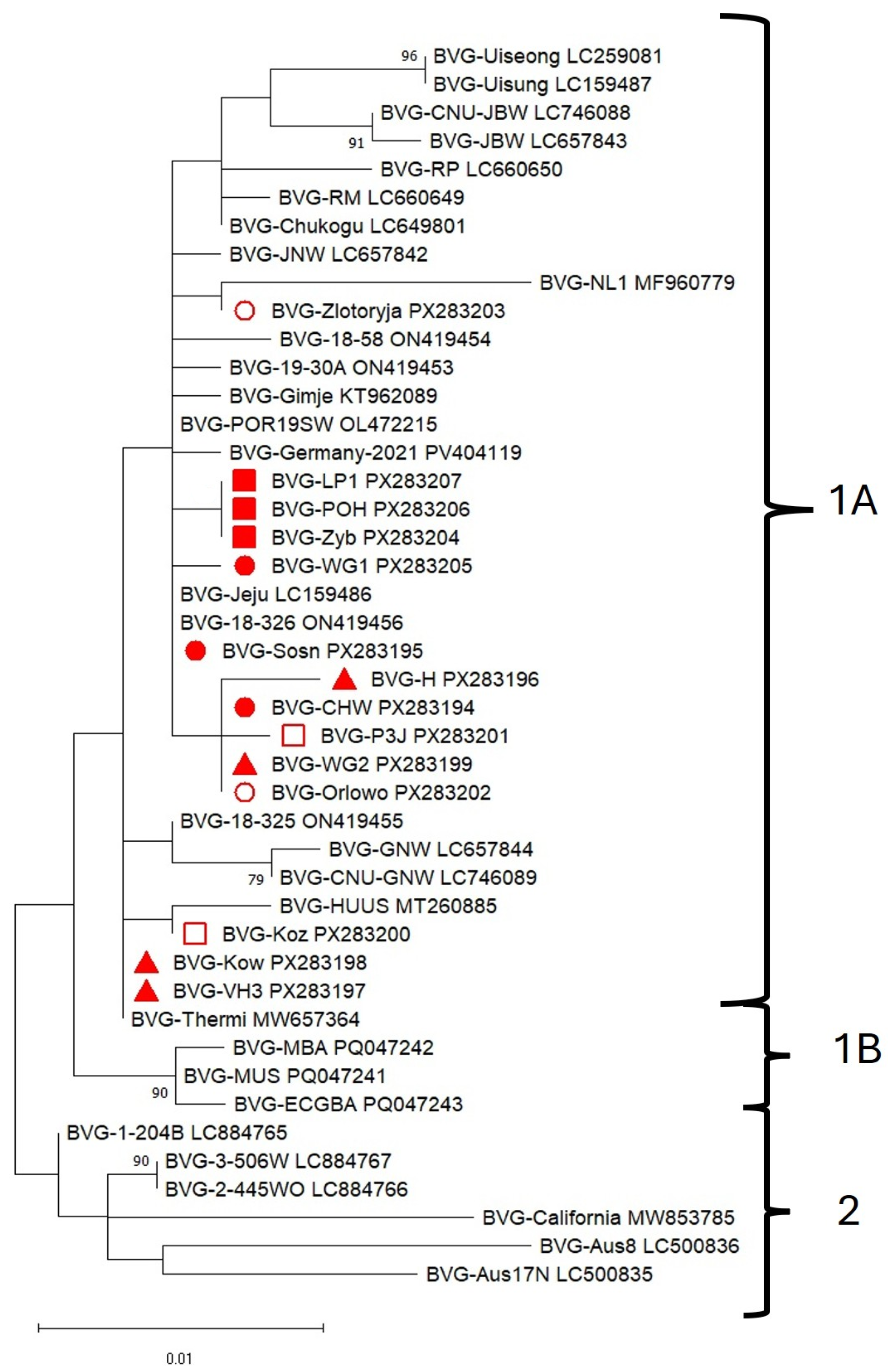 Pathogens 14 01087 g004 Pathogens 14 01087 g004