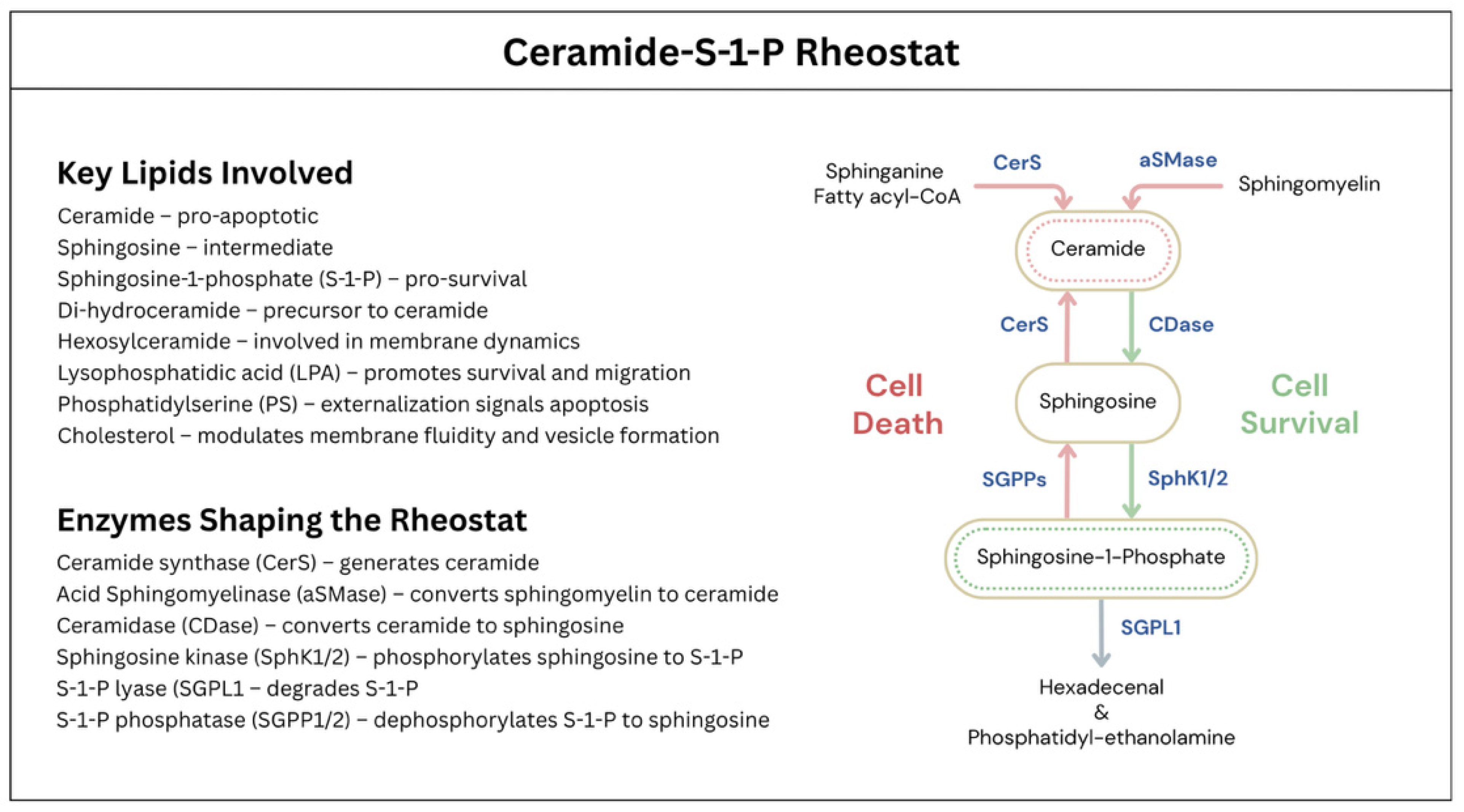 Pathogens 14 01094 g003