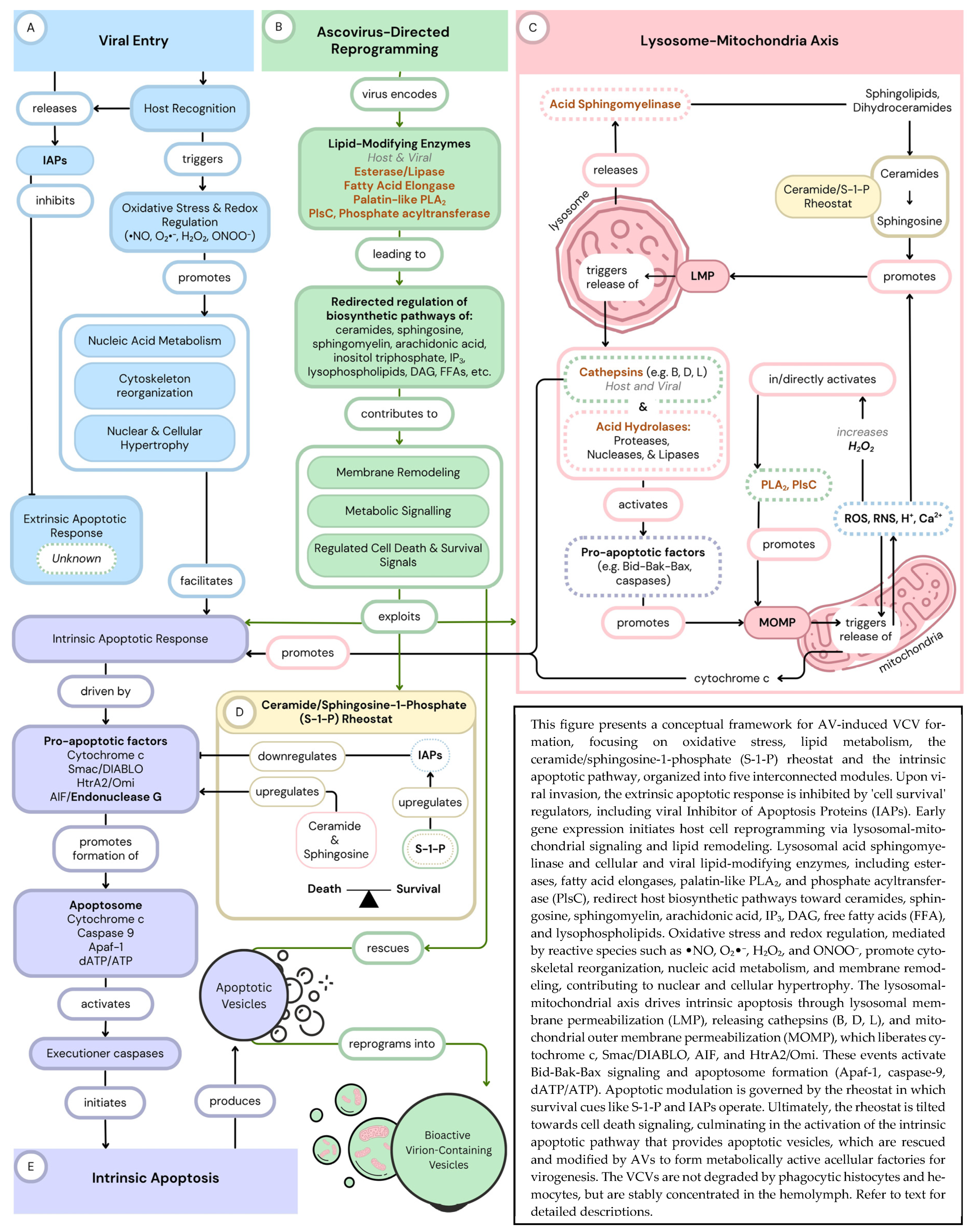 Pathogens 14 01094 g004