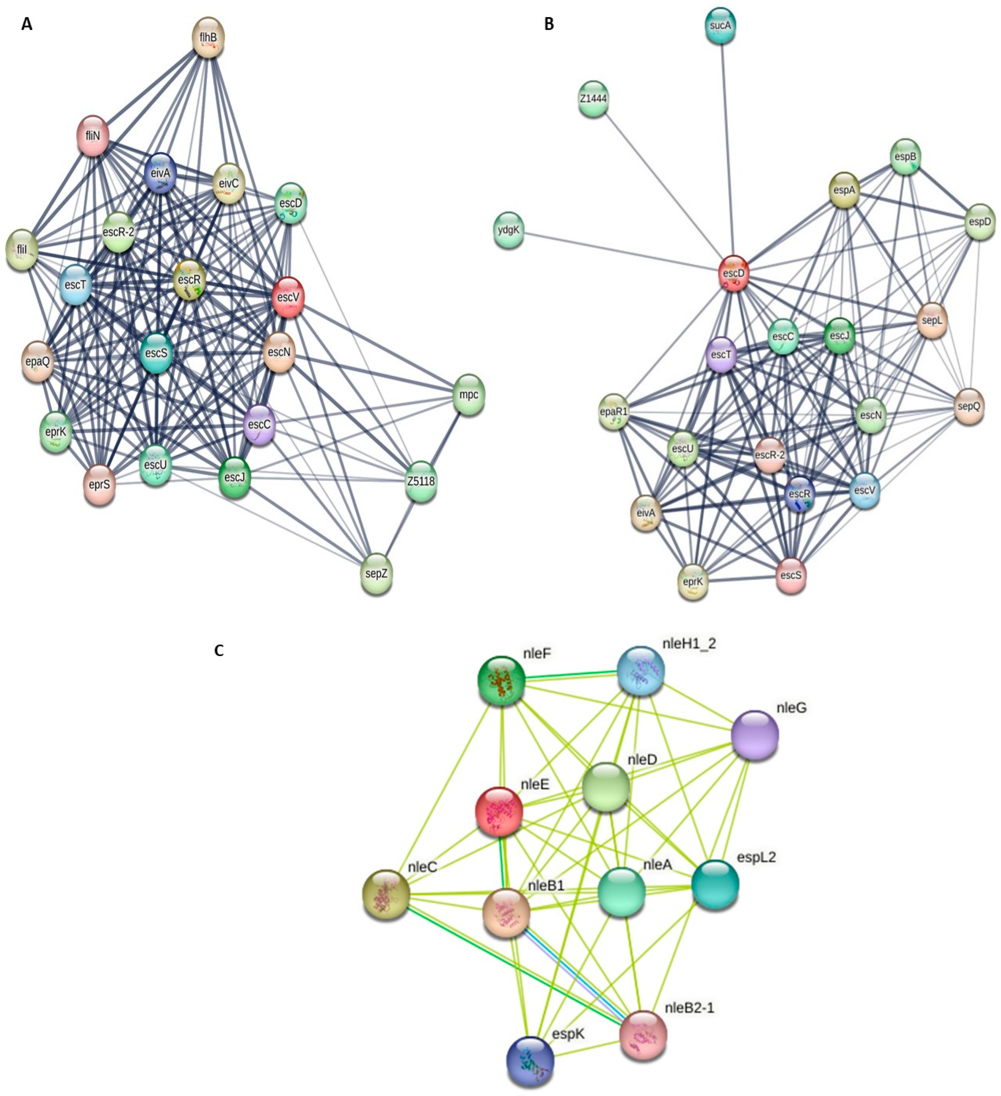 Pathogens 14 01099 g001 Pathogens 14 01099 g001