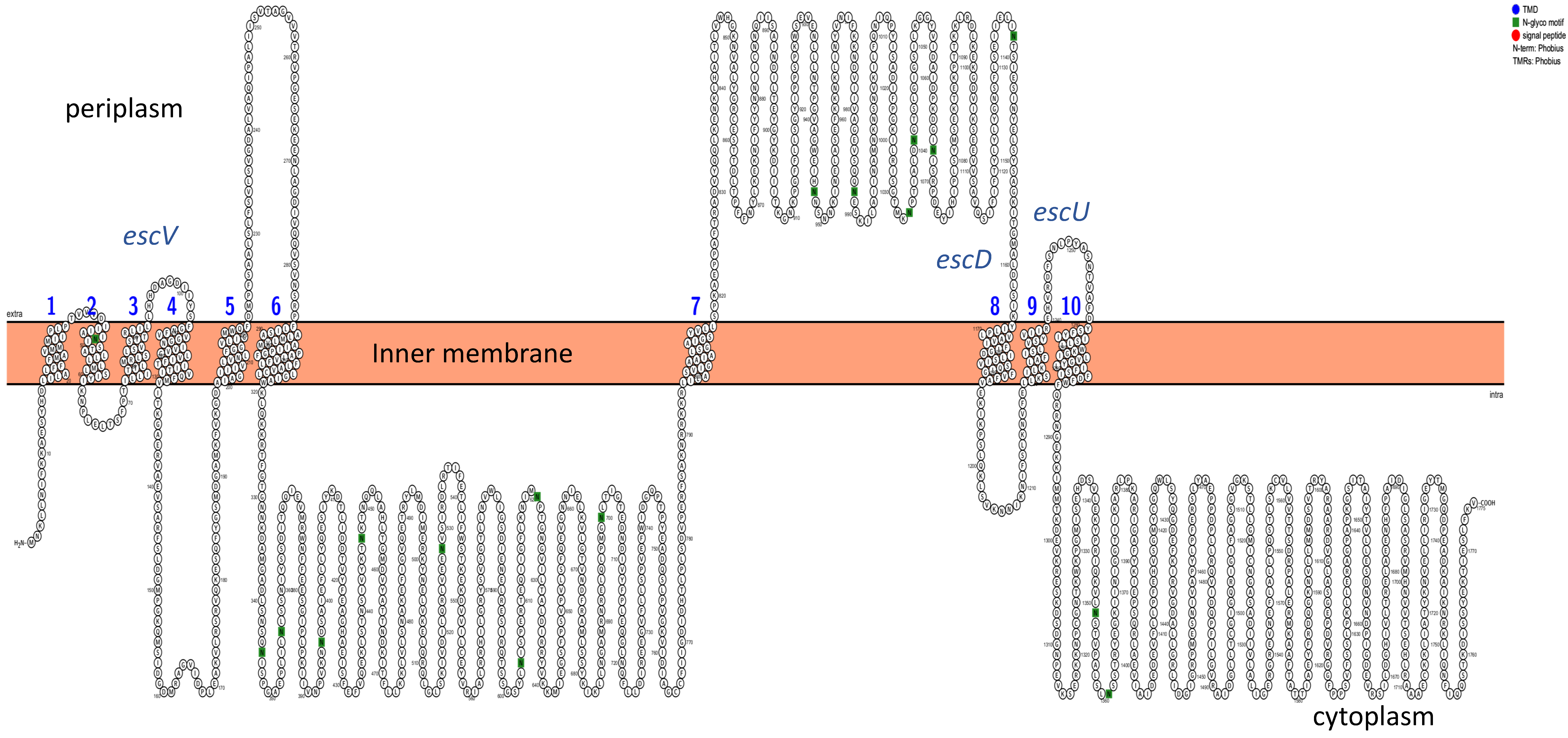 Pathogens 14 01099 g002 Pathogens 14 01099 g002
