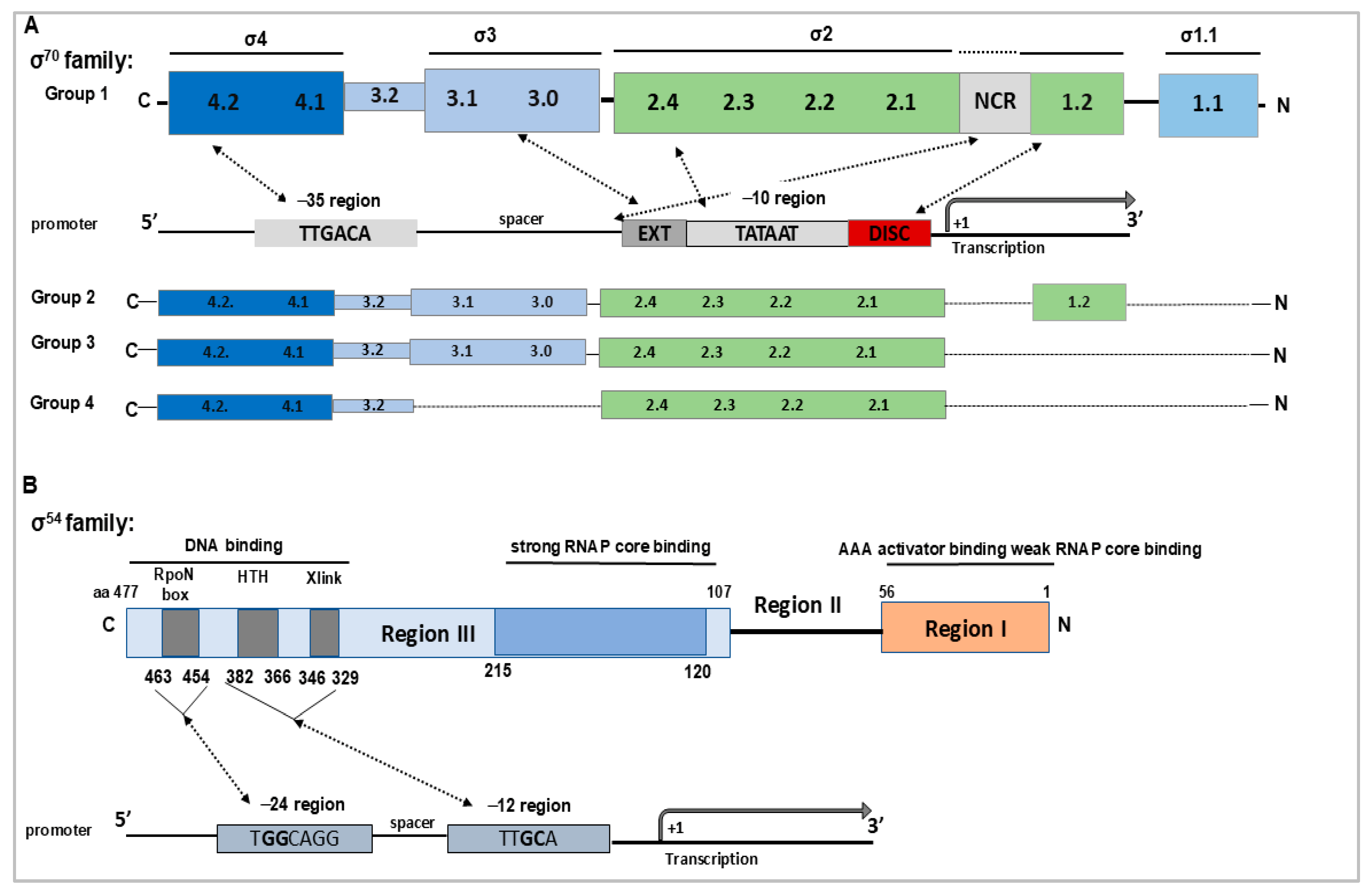 Pathogens 14 01100 g001 Pathogens 14 01100 g001