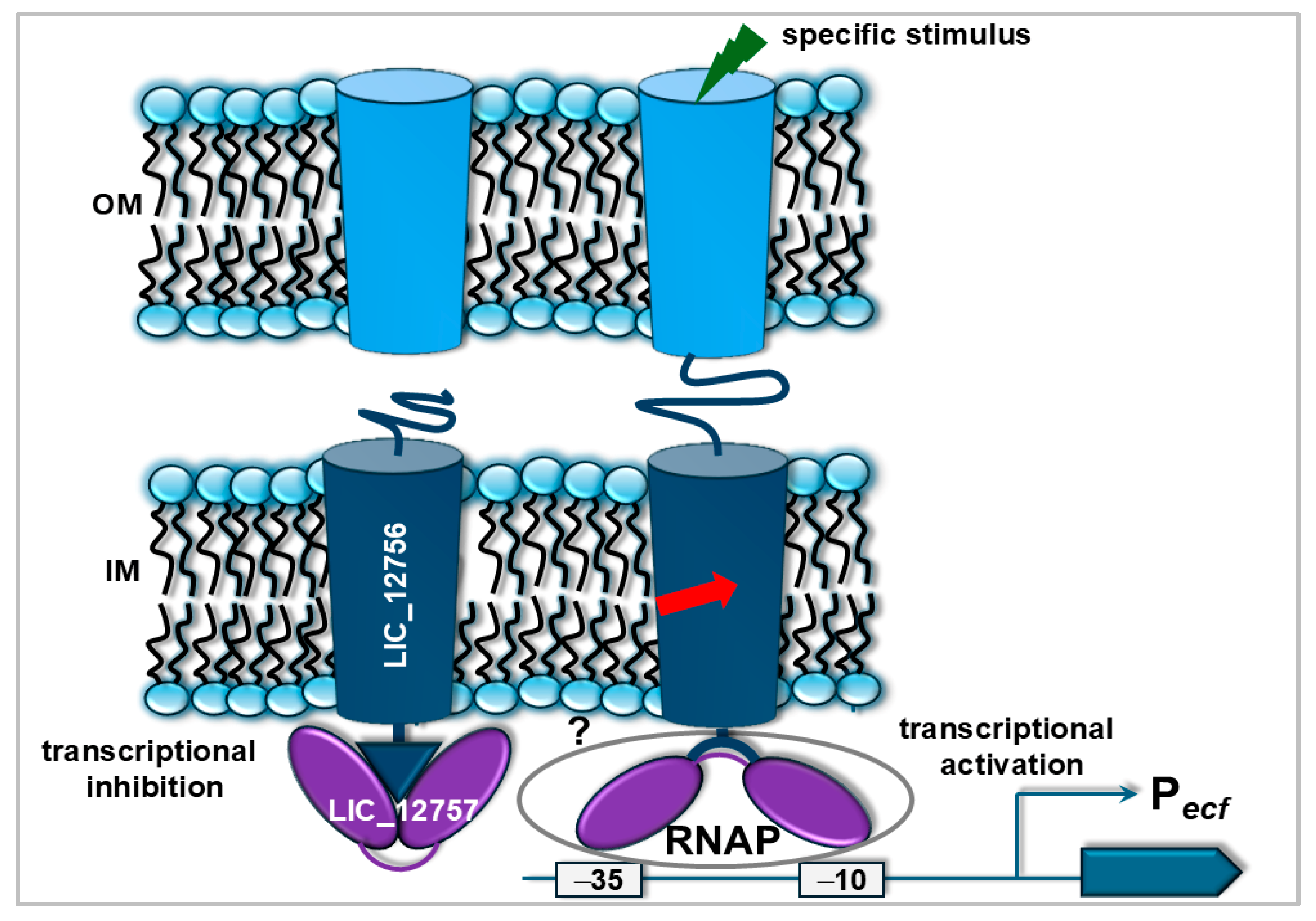 Pathogens 14 01100 g003 Pathogens 14 01100 g003