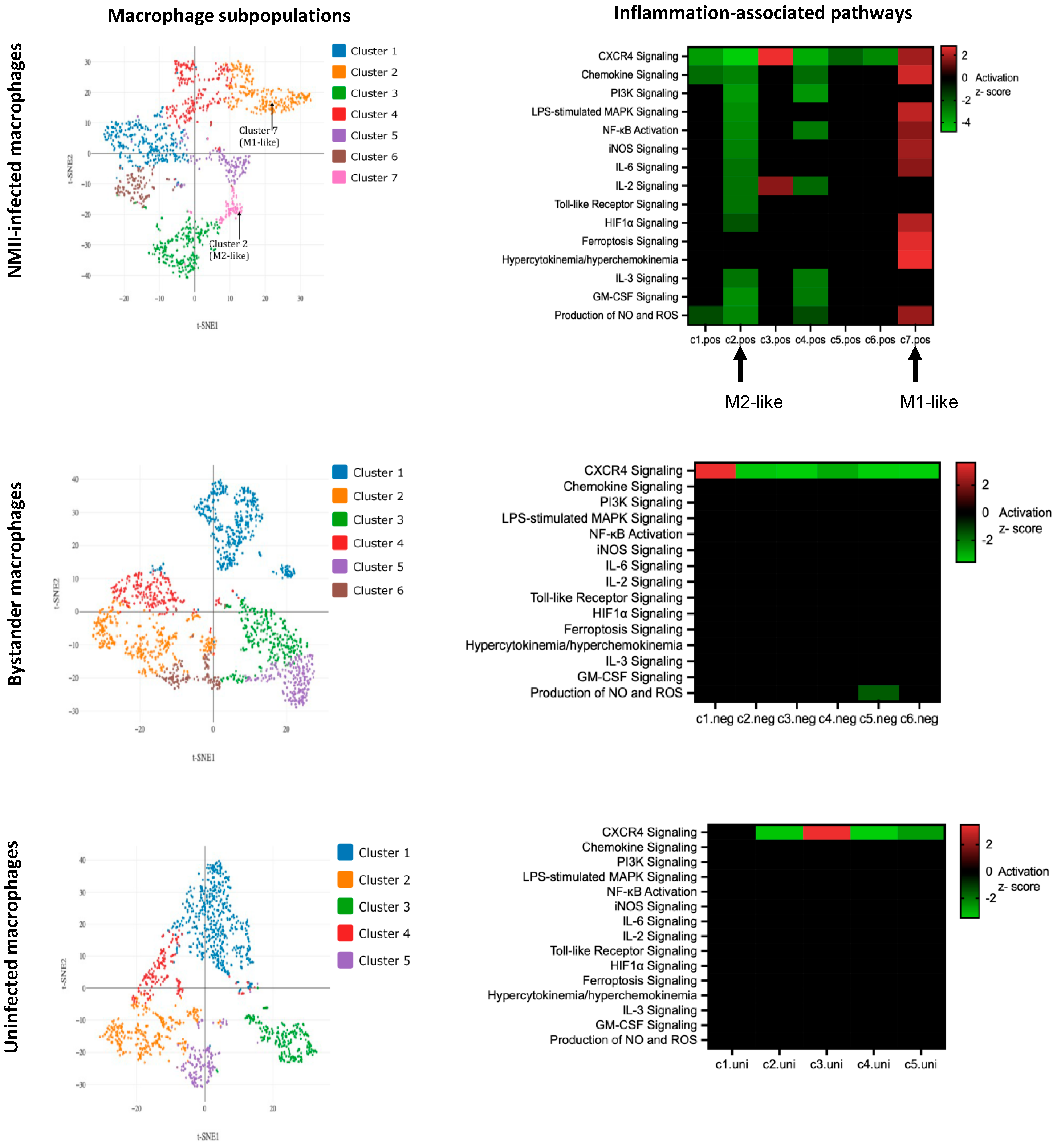 Pathogens 14 01101 g007 Pathogens 14 01101 g007