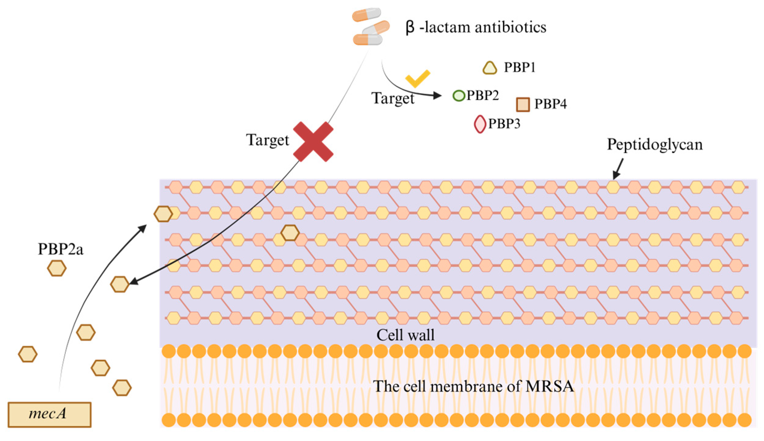 Pathogens 14 01102 g001 Pathogens 14 01102 g001