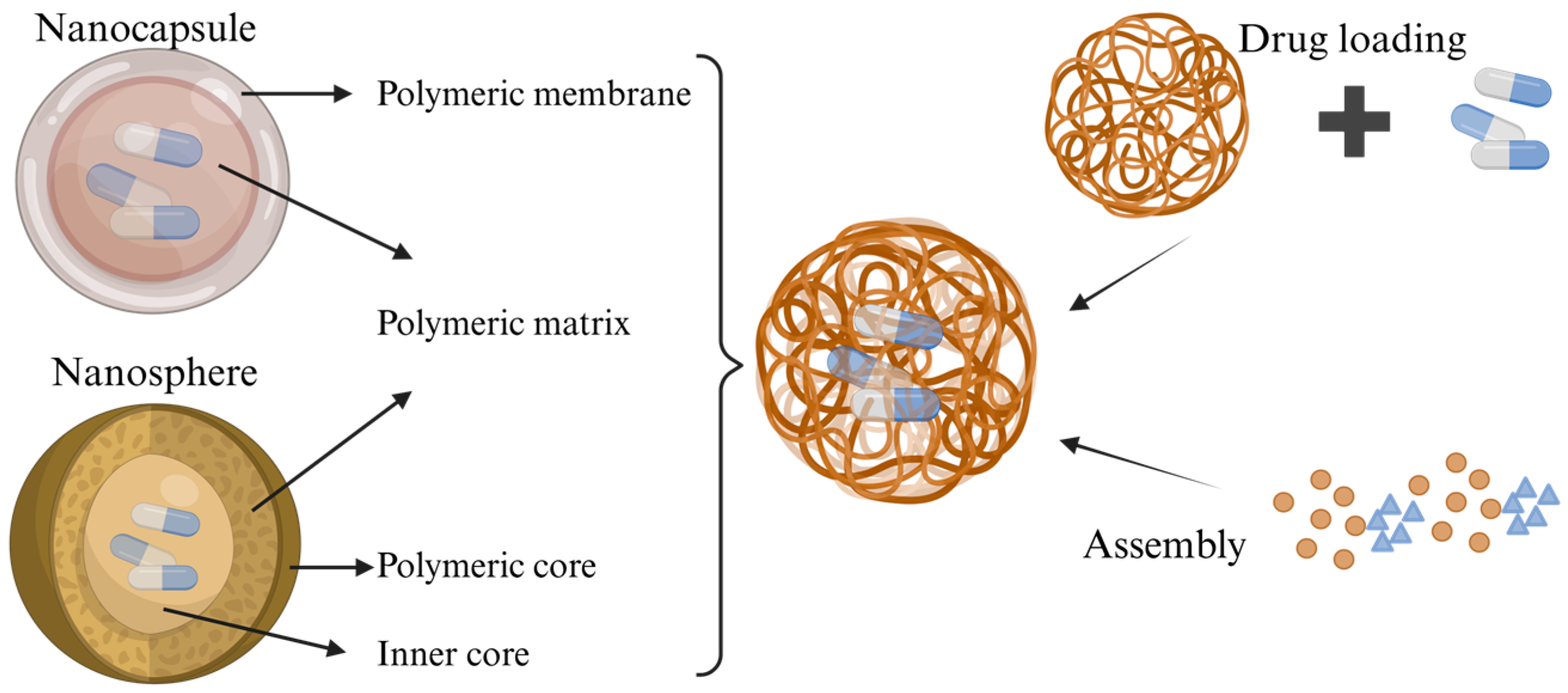 Pathogens 14 01102 g005 Pathogens 14 01102 g005