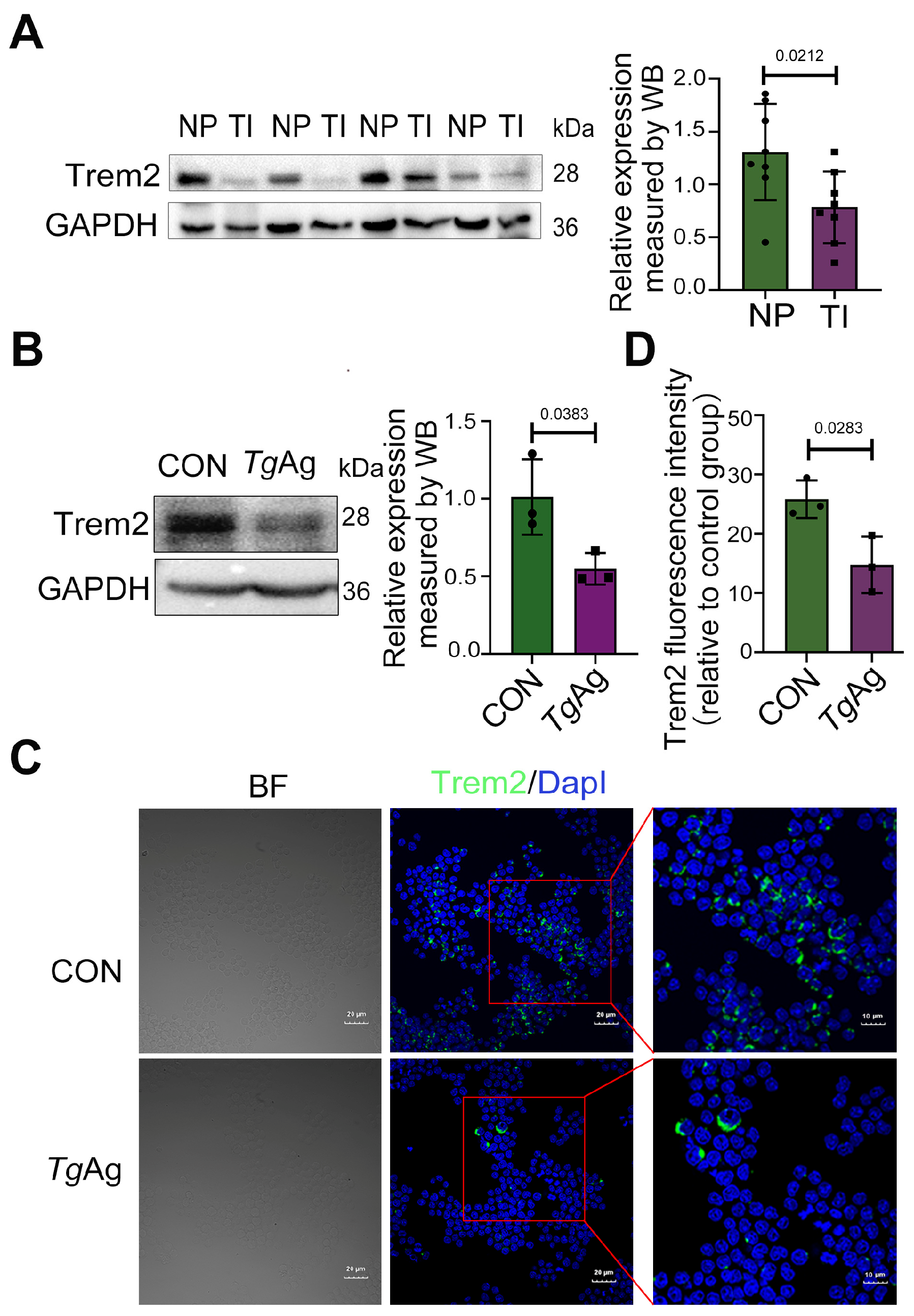 Pathogens 14 01105 g001 Pathogens 14 01105 g001