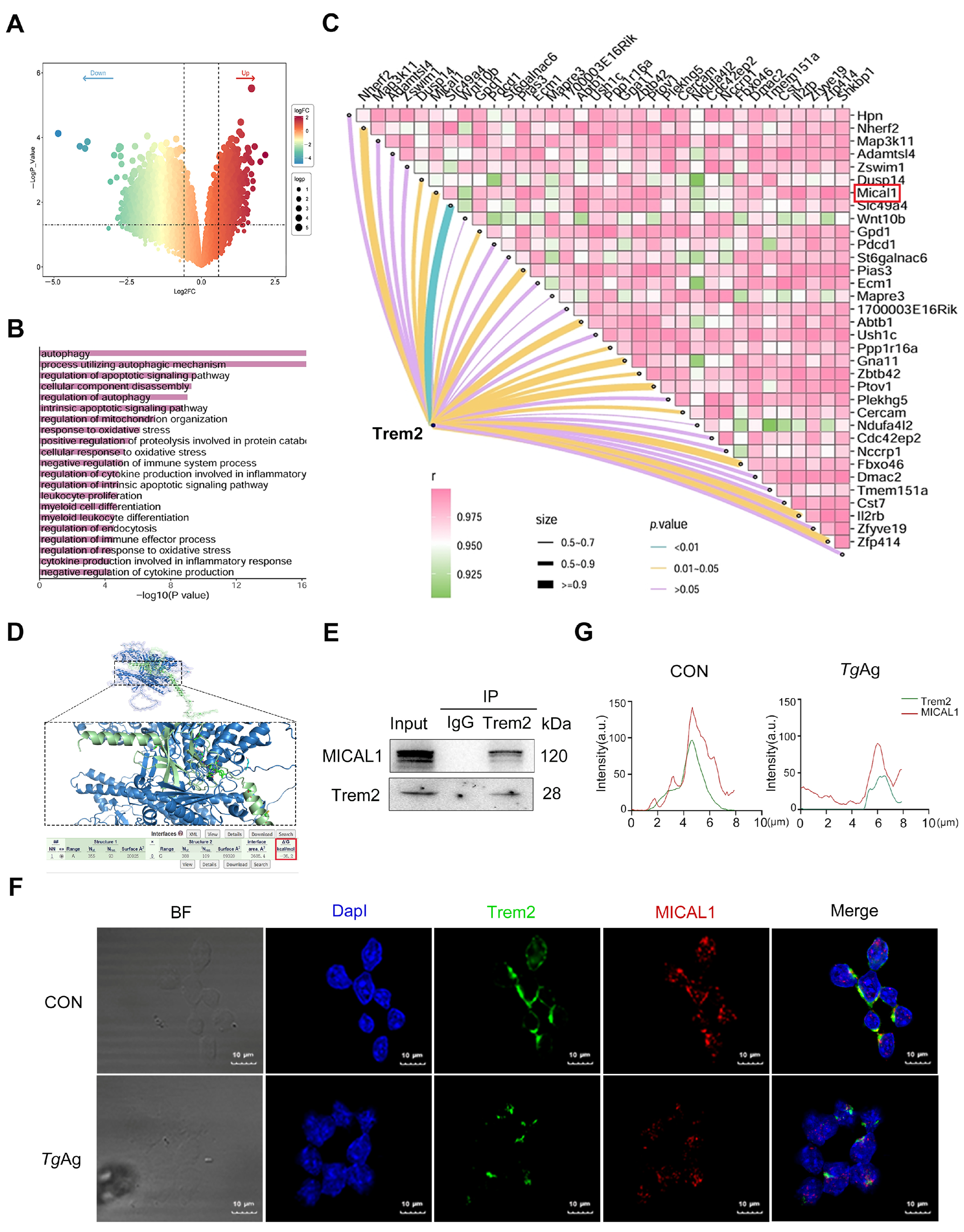 Pathogens 14 01105 g002 Pathogens 14 01105 g002
